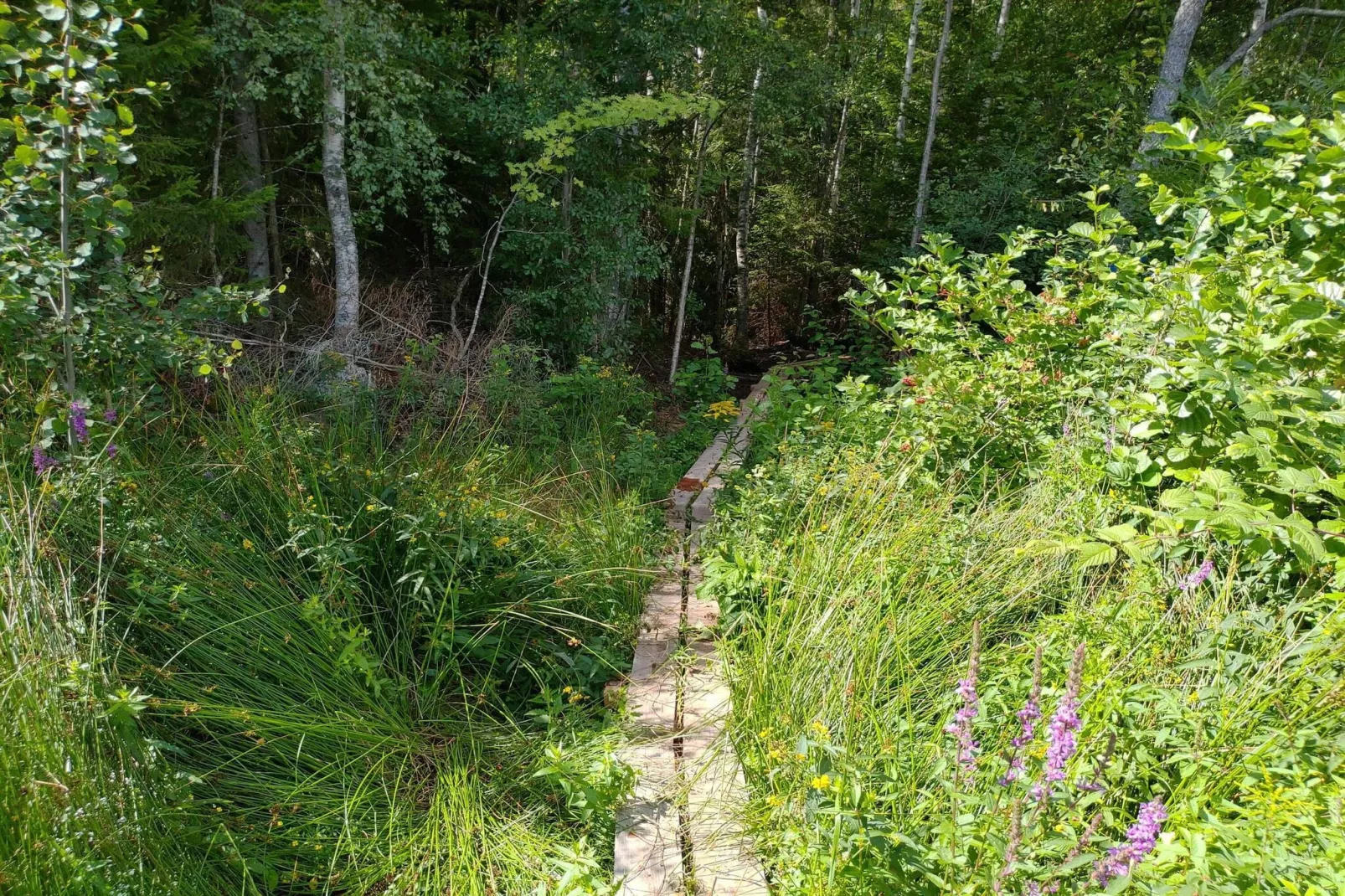 7 persoons vakantie huis in VIRSERUM-By Traum-Niet-getagd