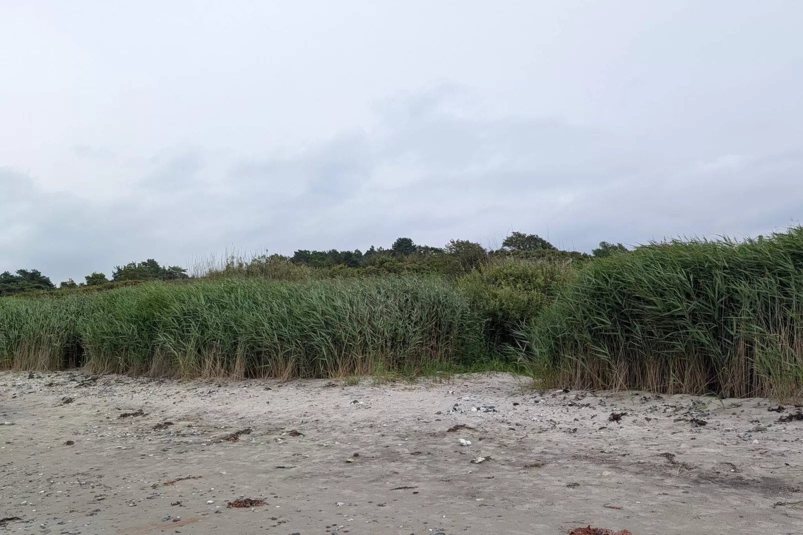 4 persoons vakantie huis in Allingåbro-By Traum-Niet-getagd