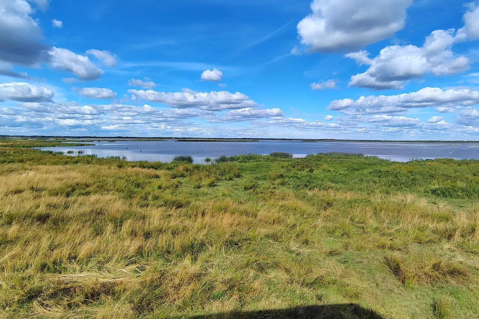 6 persoons vakantie huis in Tarm-By Traum-Buitenlucht