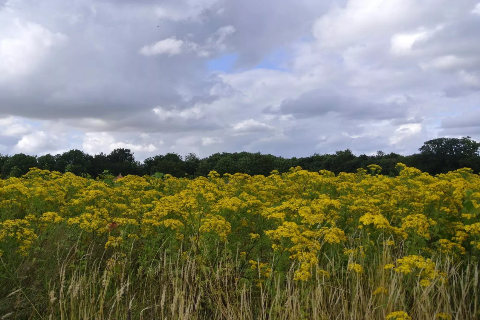 Strandplezier in Hejlsminde -- By Traum Ferienwohnungen-Niet-getagd