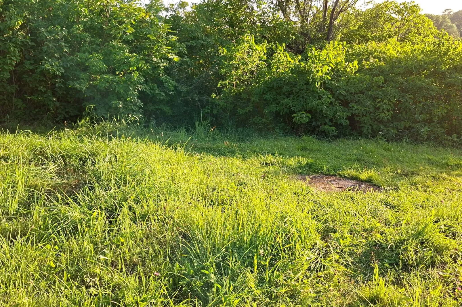 4 persoons vakantie huis in TORSHÄLLA-By Traum-Niet-getagd