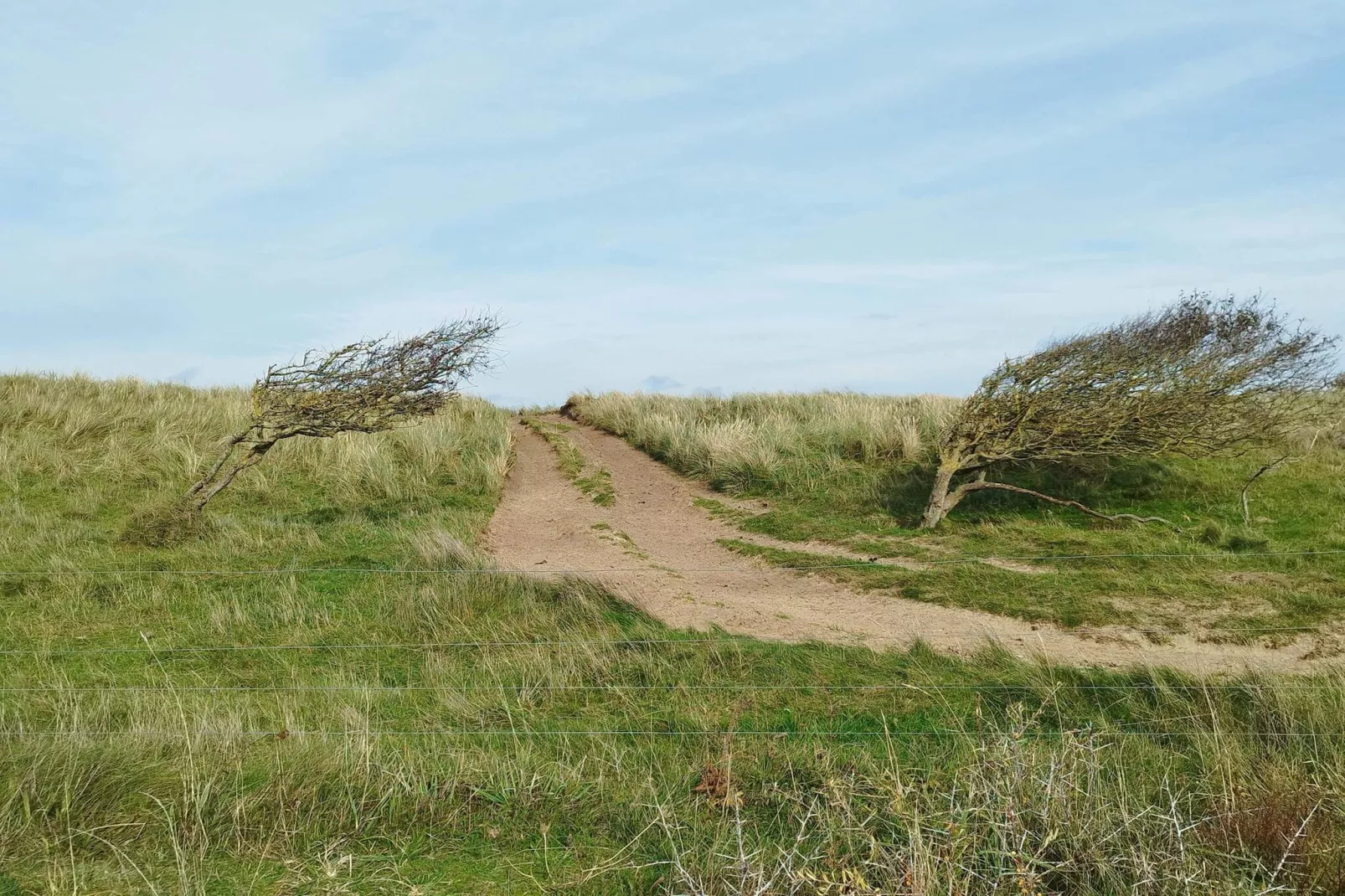 10 persoons vakantie huis in Løkken-By Traum-Niet-getagd