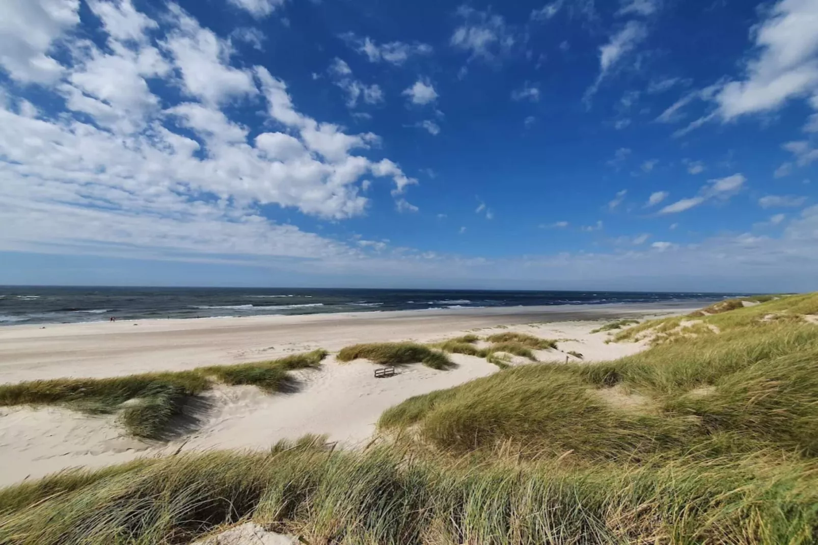 Luxe strandhuis in Henne -- By Traum Ferienwohnungen-Waterzicht