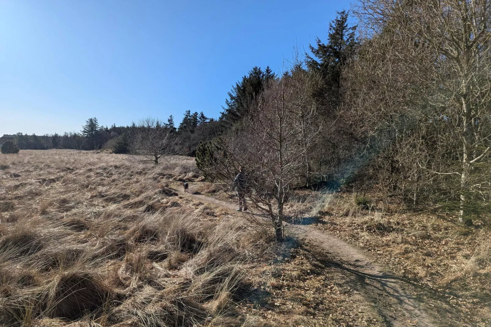 6 persoons vakantie huis in Pandrup-Niet-getagd