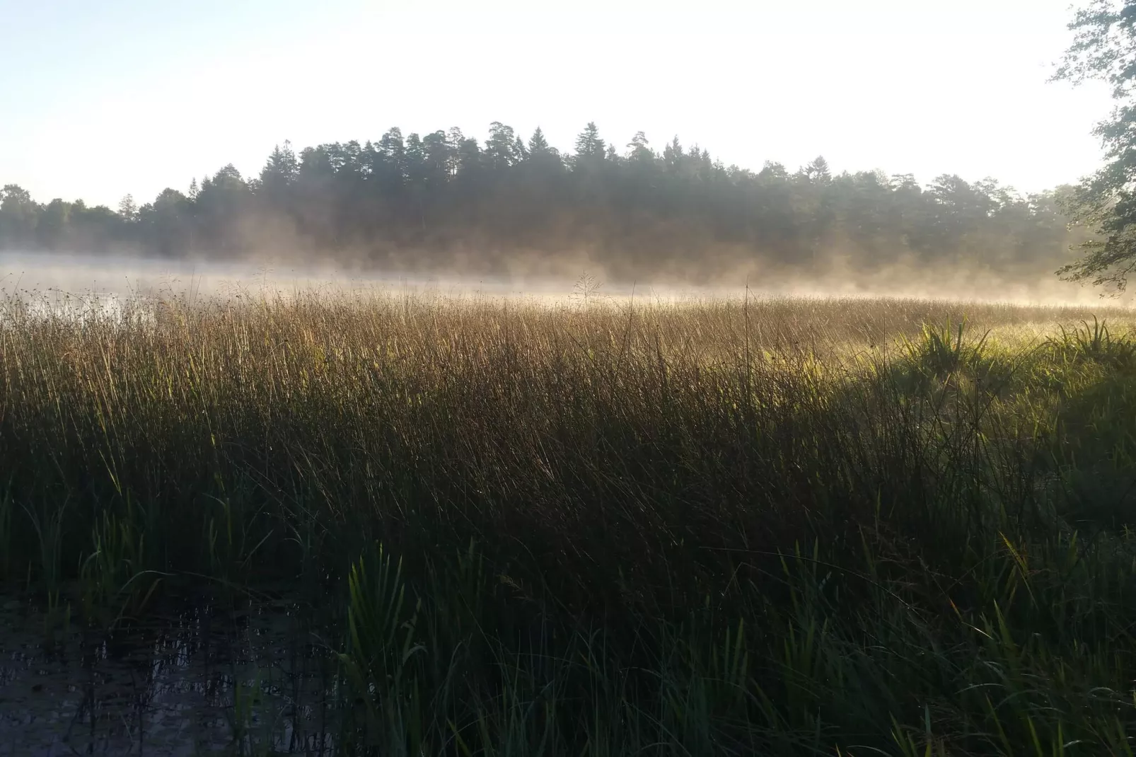 6 persoons vakantie huis in ÅSBRO-By Traum-Niet-getagd