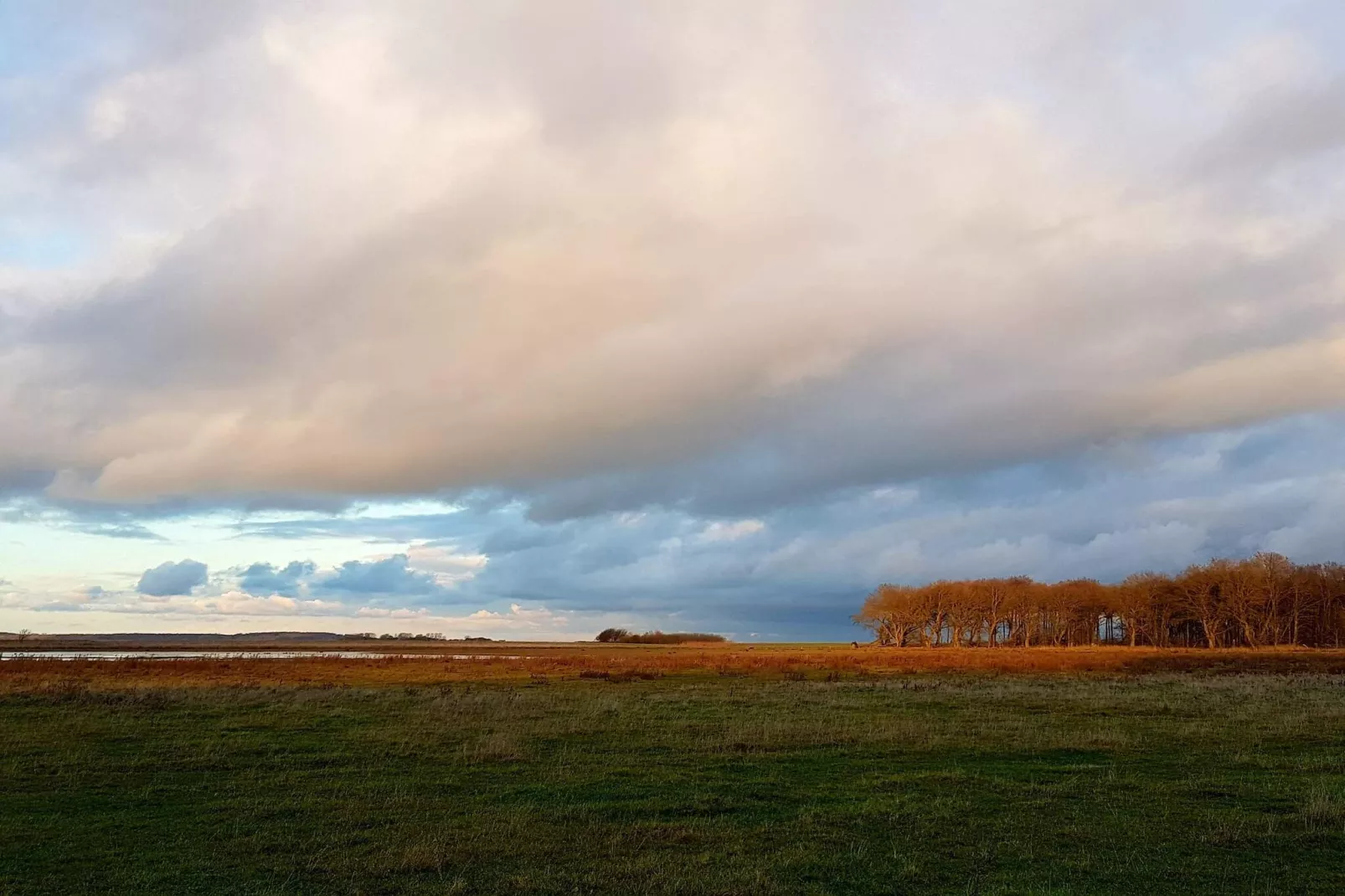 8 persoons vakantie huis in Bogense-By Traum-Niet-getagd