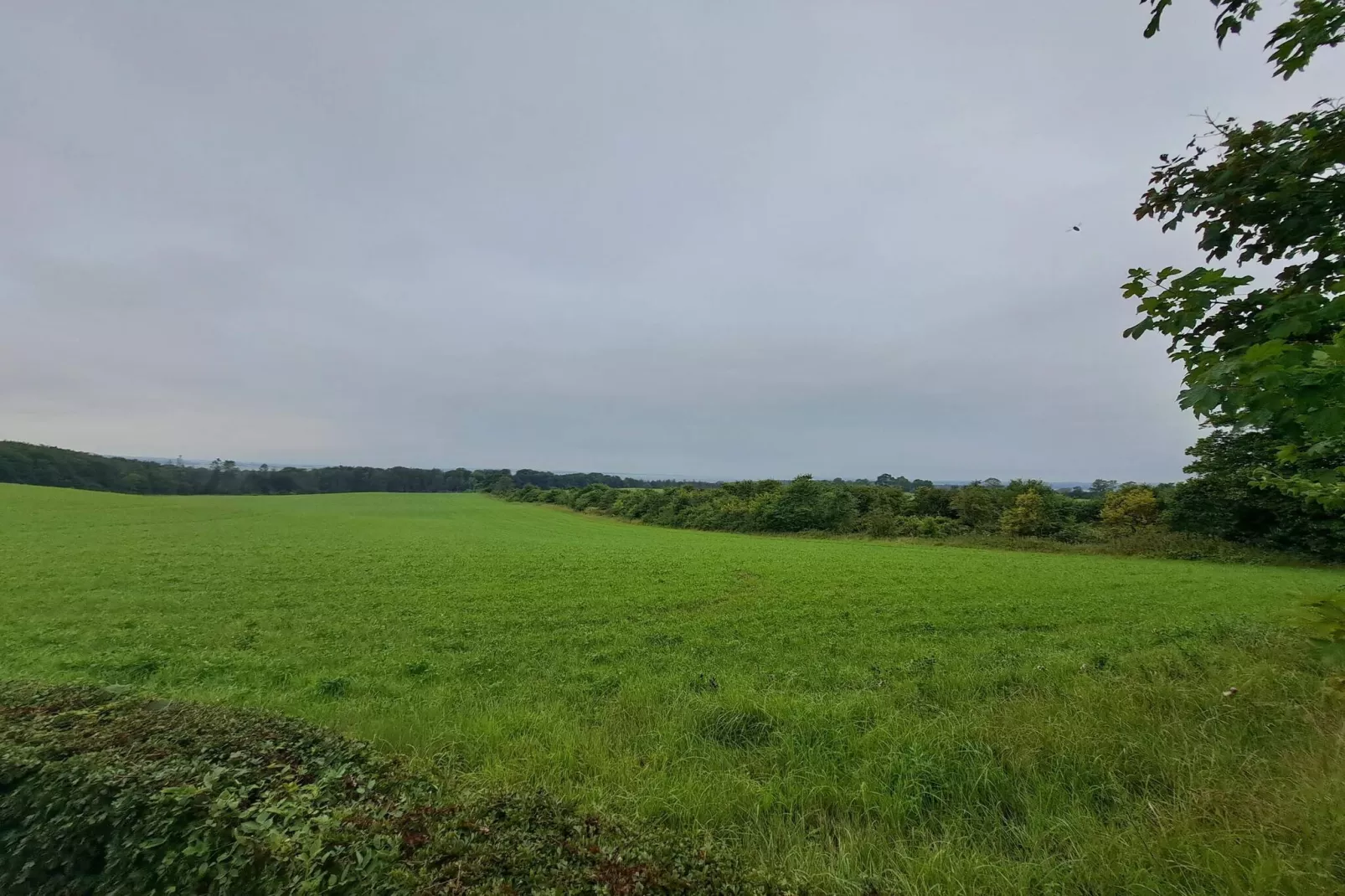 4 persoons vakantie huis in Ebeltoft-By Traum-Niet-getagd