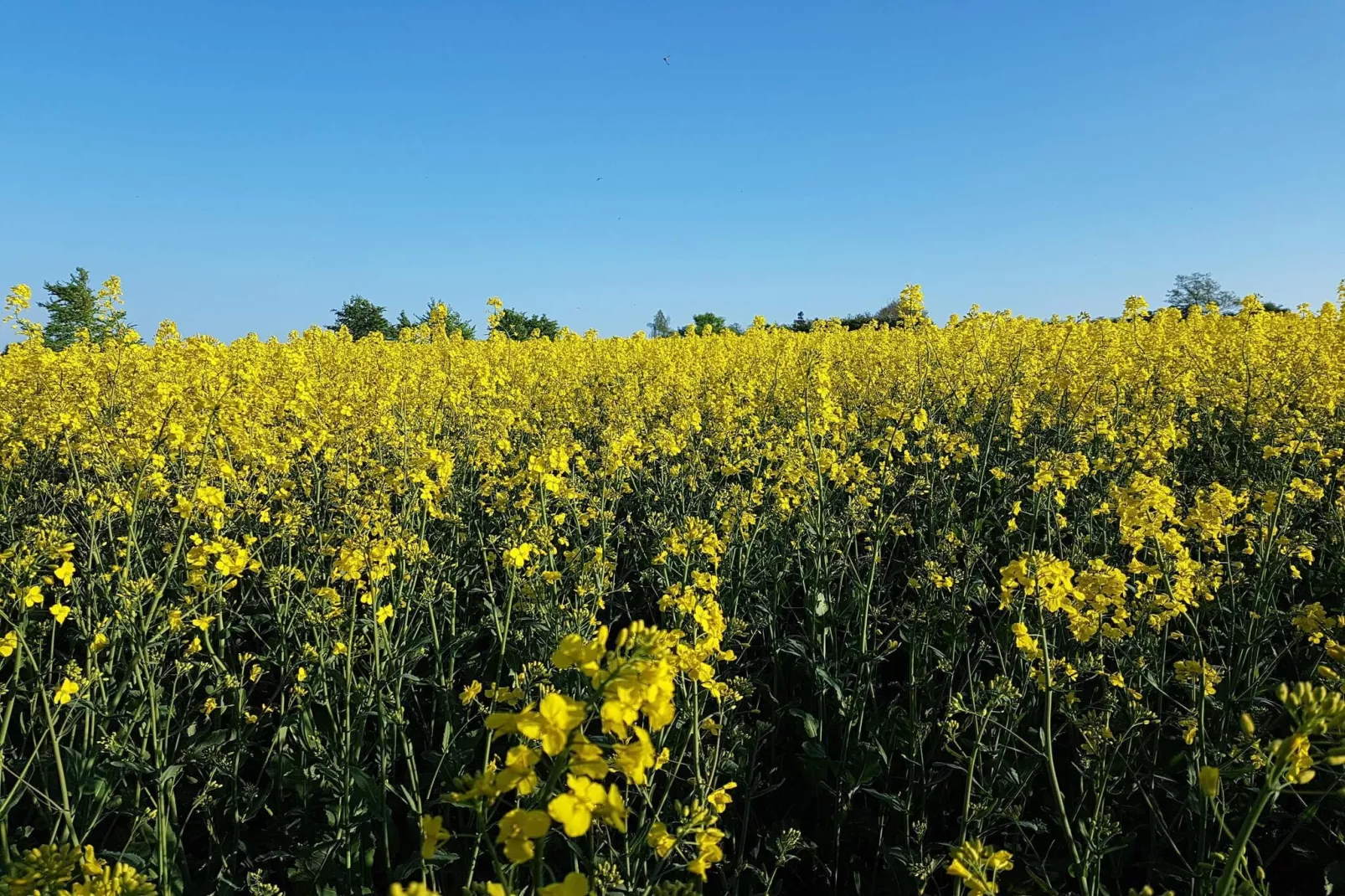 6 persoons vakantie huis in Tranekær-By Traum-Niet-getagd