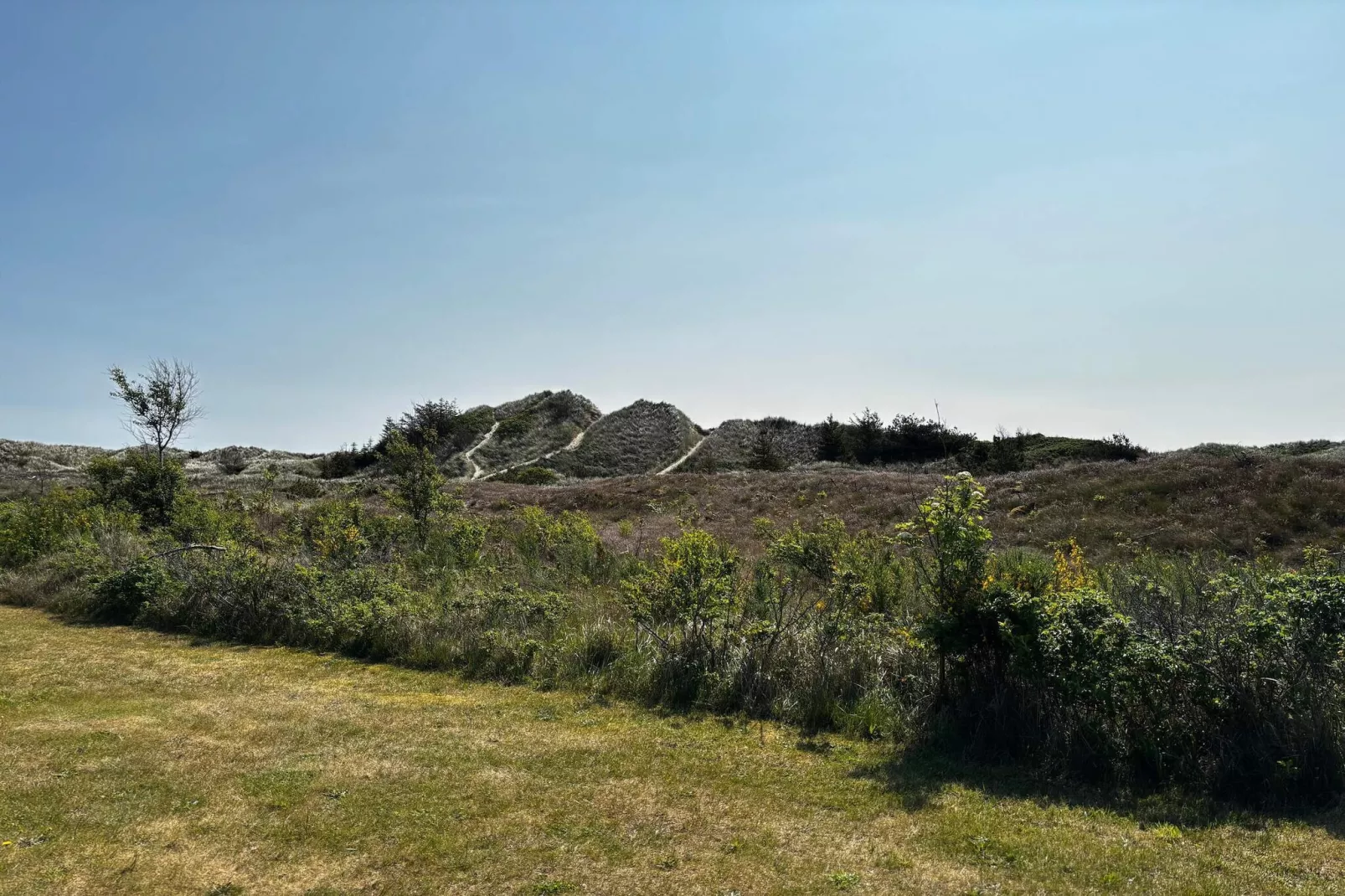 8 persoons vakantie huis in Ålbæk-By Traum