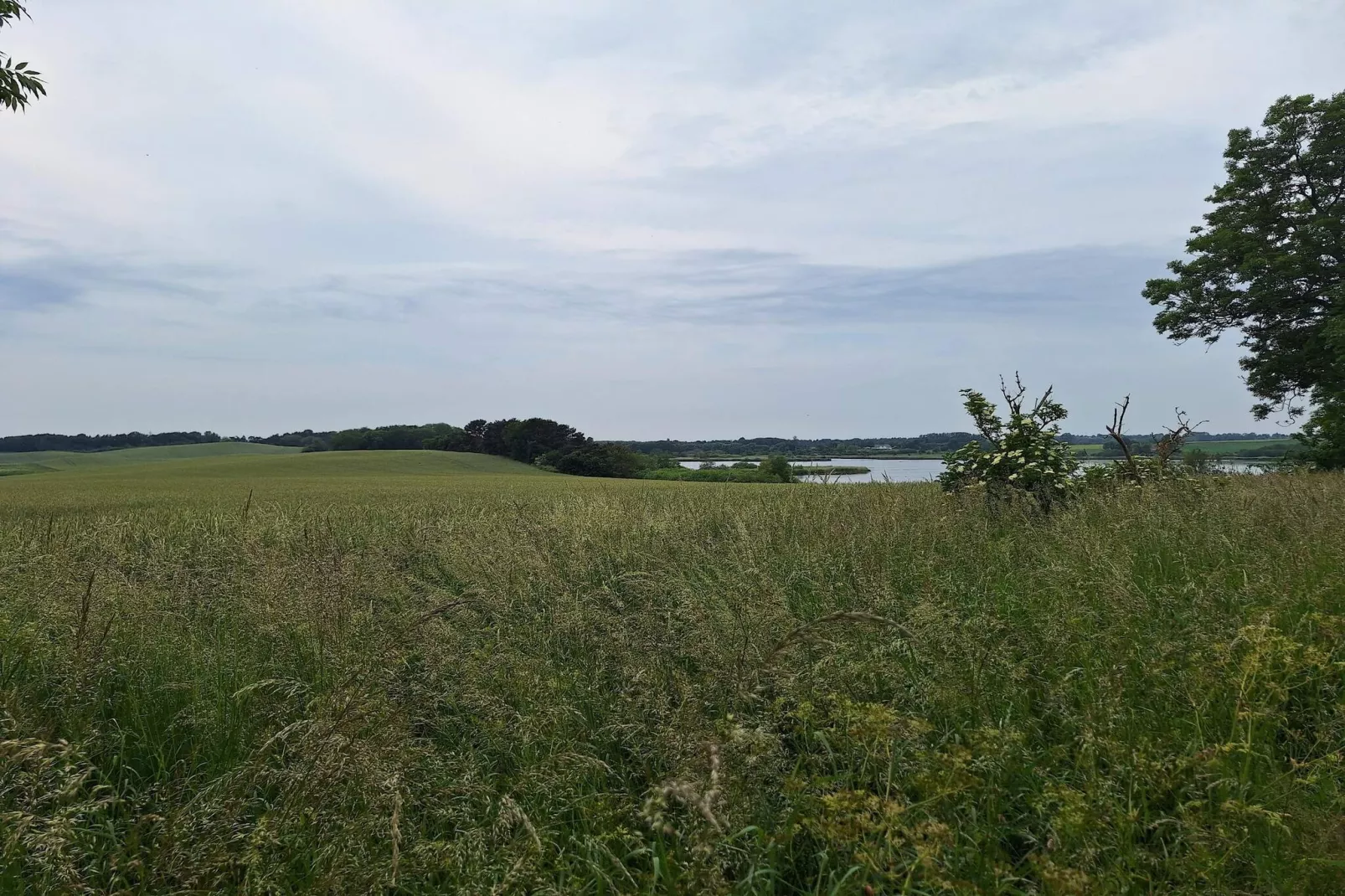 9 persoons vakantie huis in Skibby