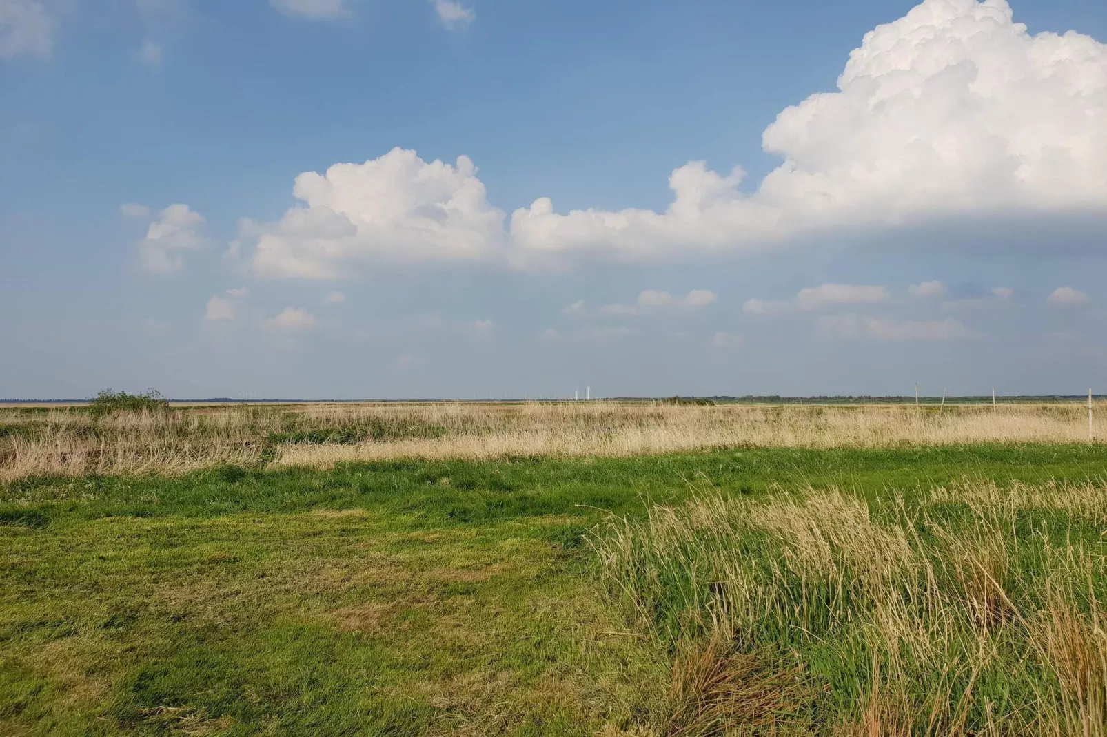 6 persoons vakantie huis in Ulfborg-By Traum-Niet-getagd