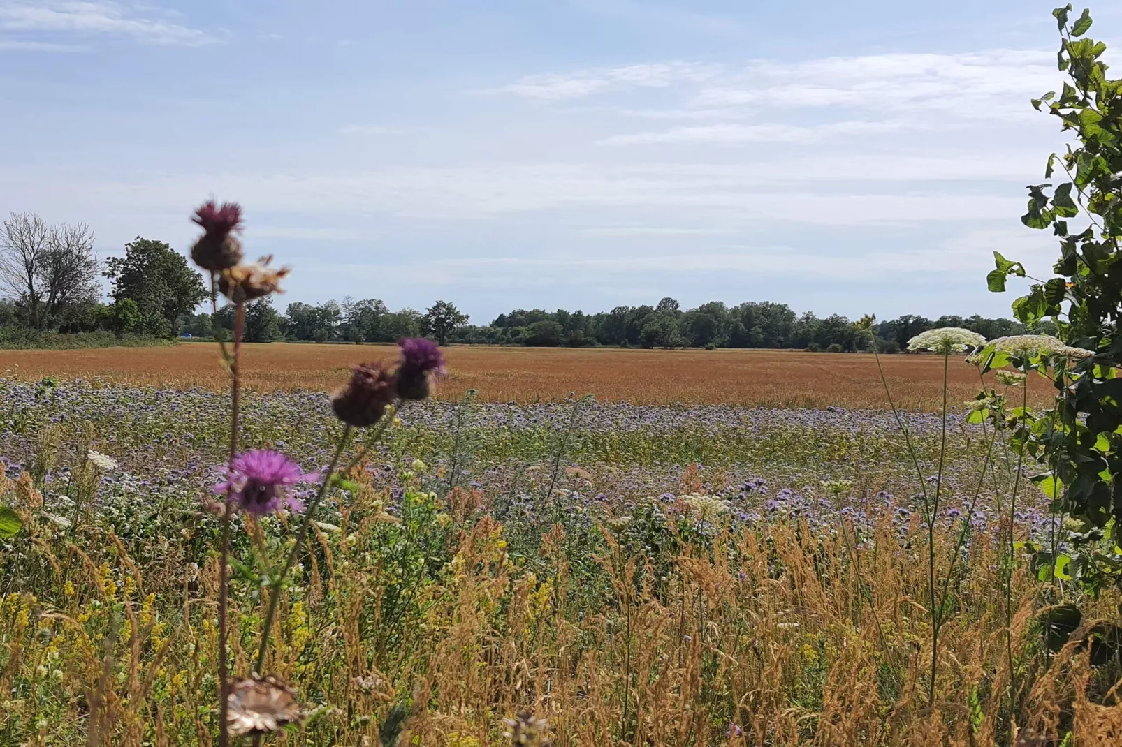 6 persoons vakantie huis in Löttorp-Niet-getagd