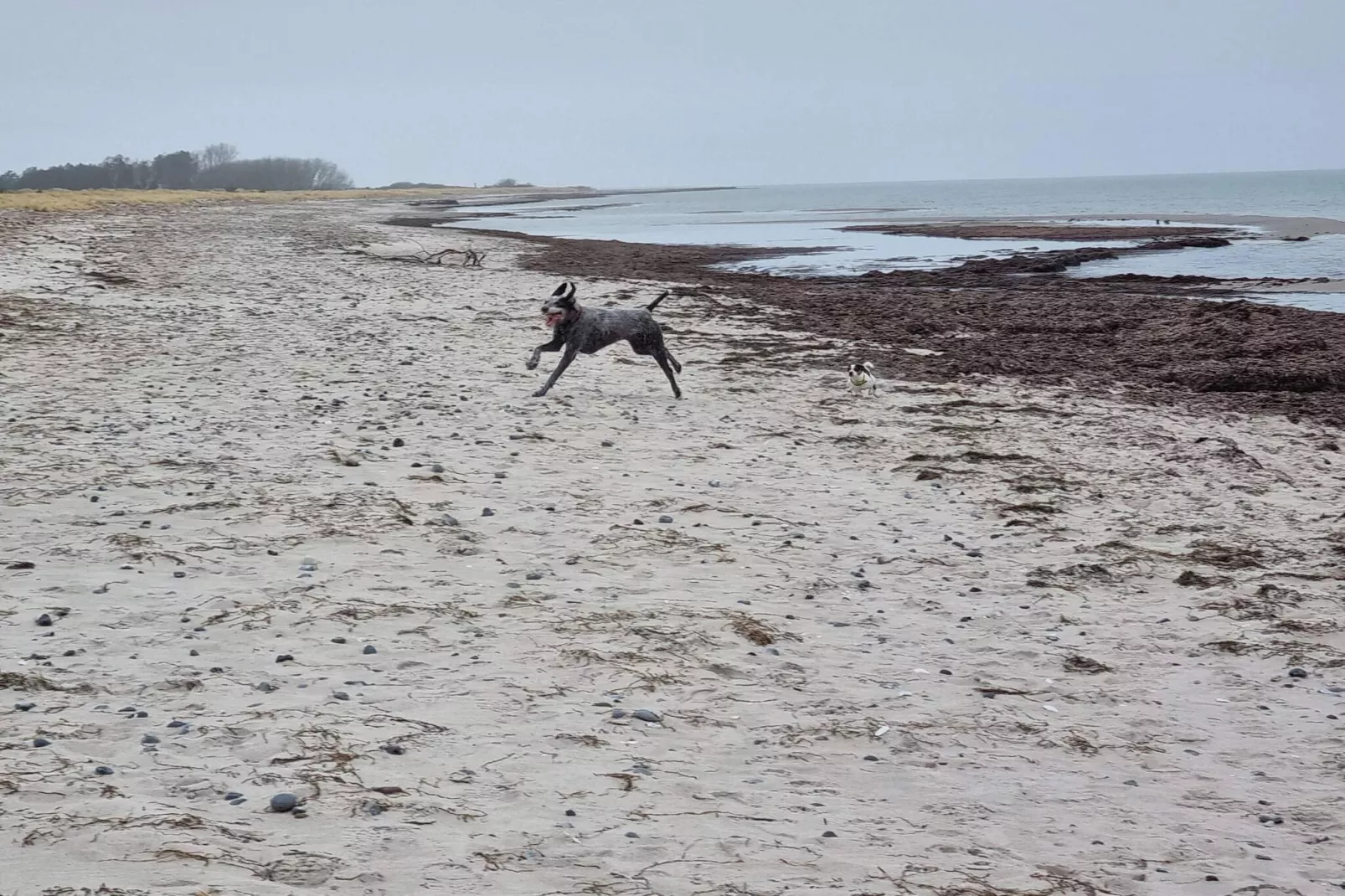 5 persoons vakantie huis in Stege-By Traum-Waterzicht