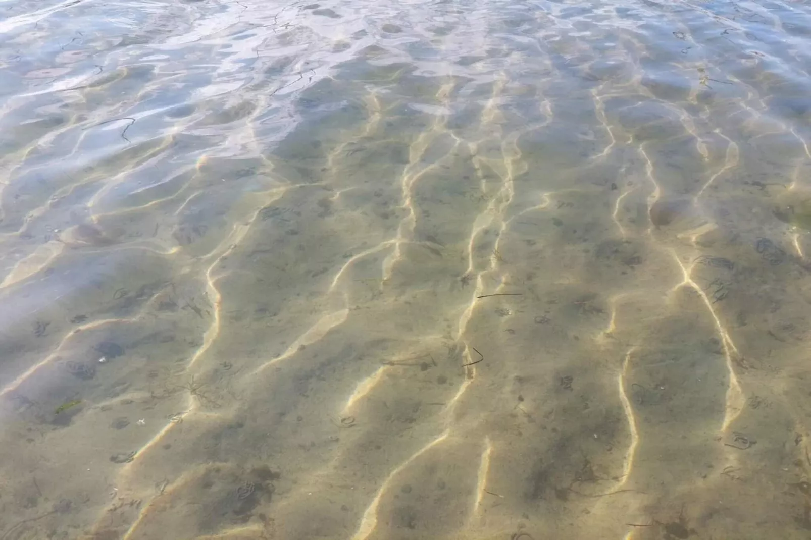 Licht strandhuis in Marielyst -- By Traum Ferienwohnungen-Waterzicht