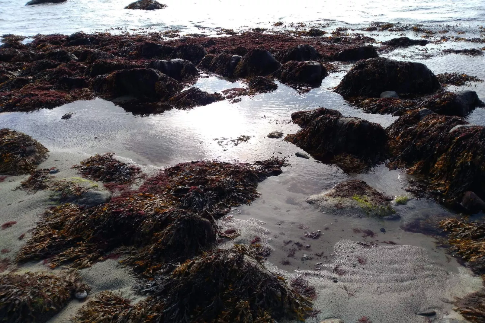 Zeezicht retraite met Spa -- By Traum Ferienwohnungen-Waterzicht