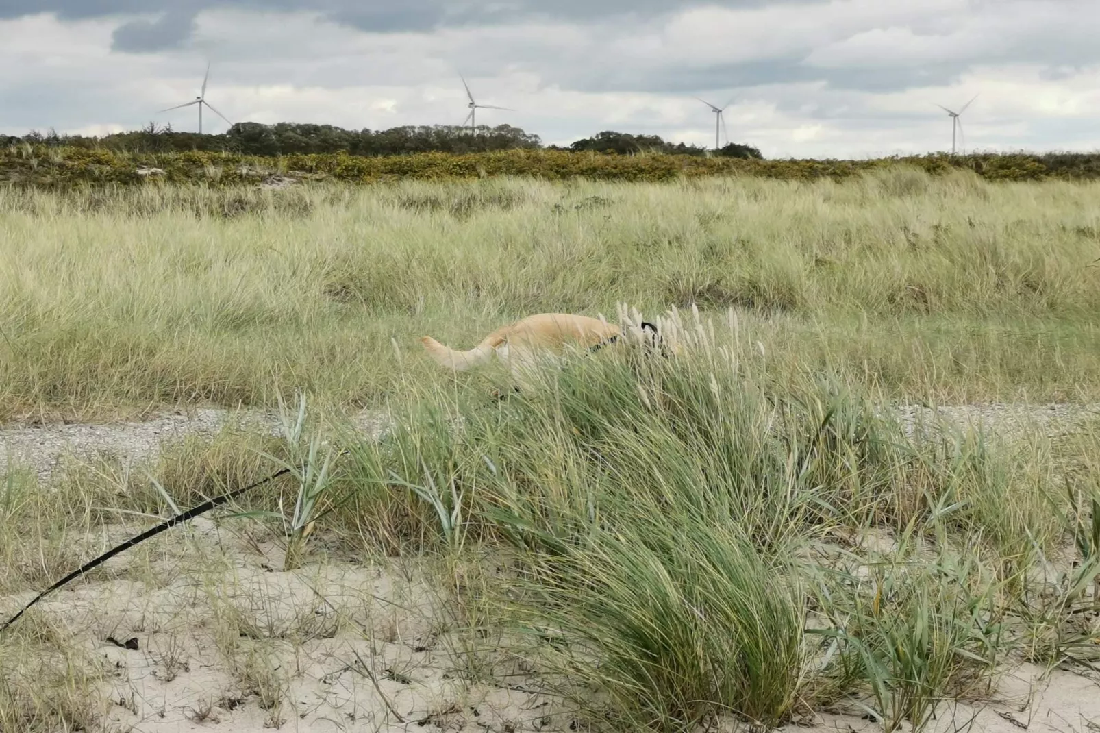 8 persoons vakantie huis in Dannemare-By Traum-Niet-getagd