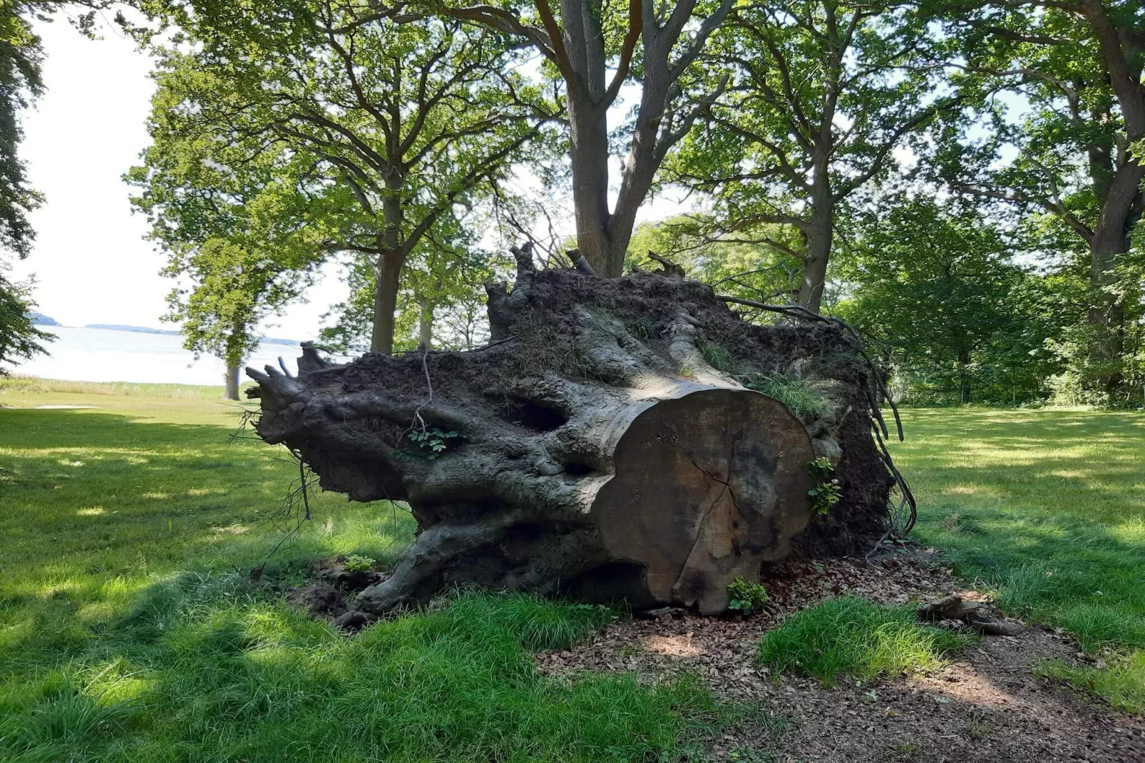 5 persoons vakantie huis in Rude-By Traum-Niet-getagd