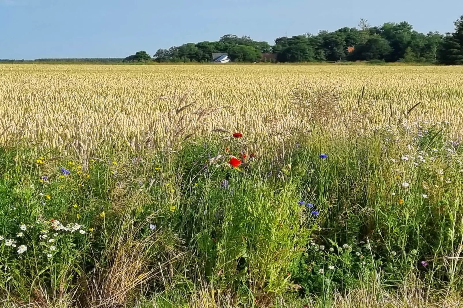 Gerestaureerde huisje in Bratten -- By Traum Ferienwohnungen-Niet-getagd