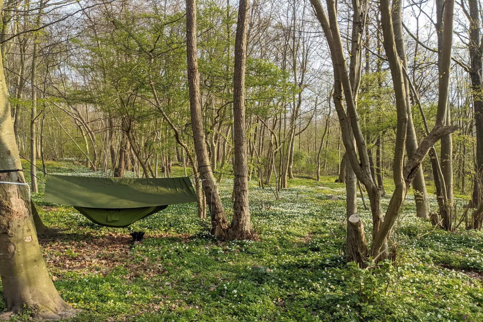 Luxe retraite aan zee -- By Traum Ferienwohnungen-Niet-getagd