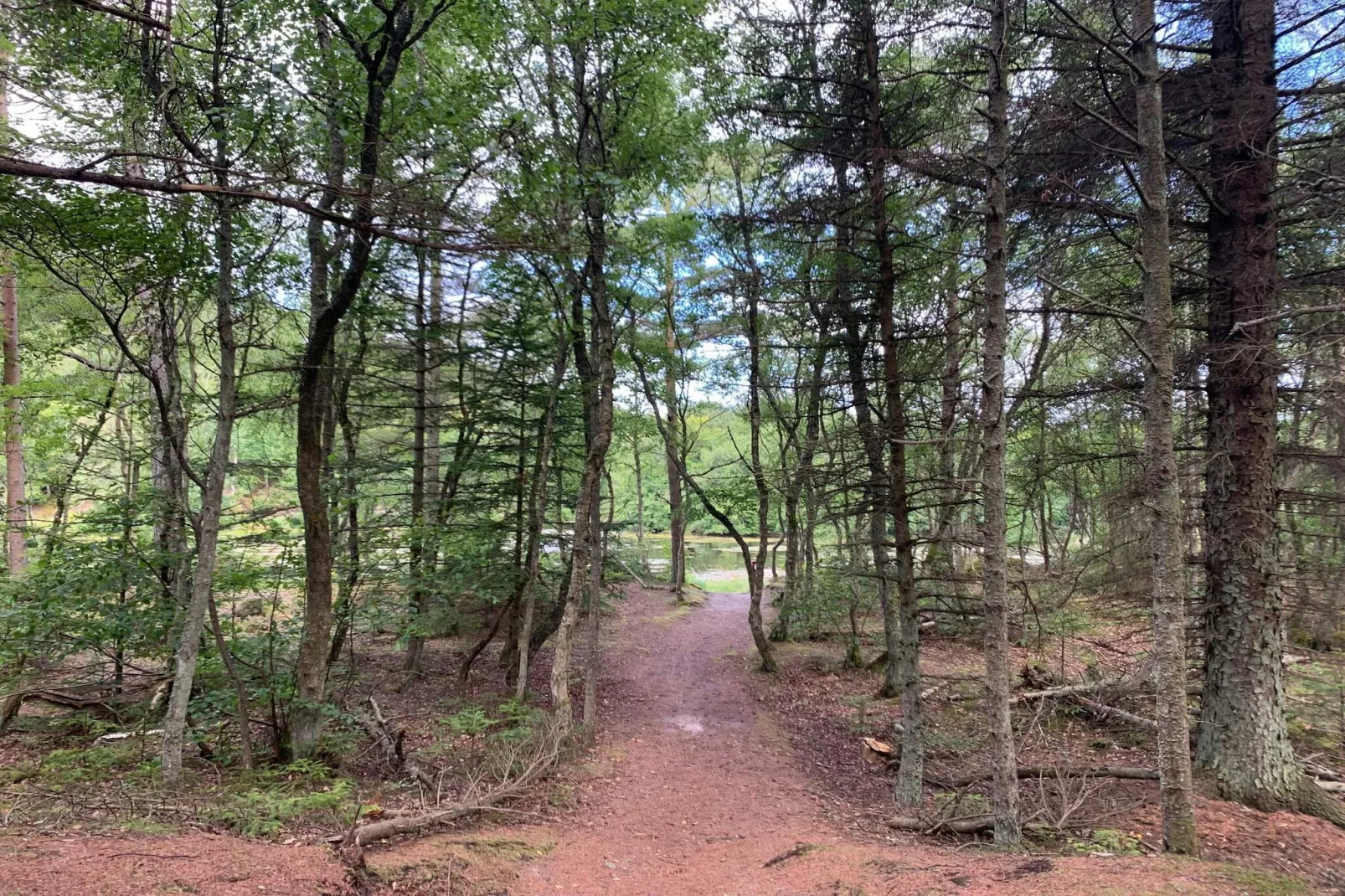 6 persoons vakantie huis in Bindslev-By Traum-Niet-getagd