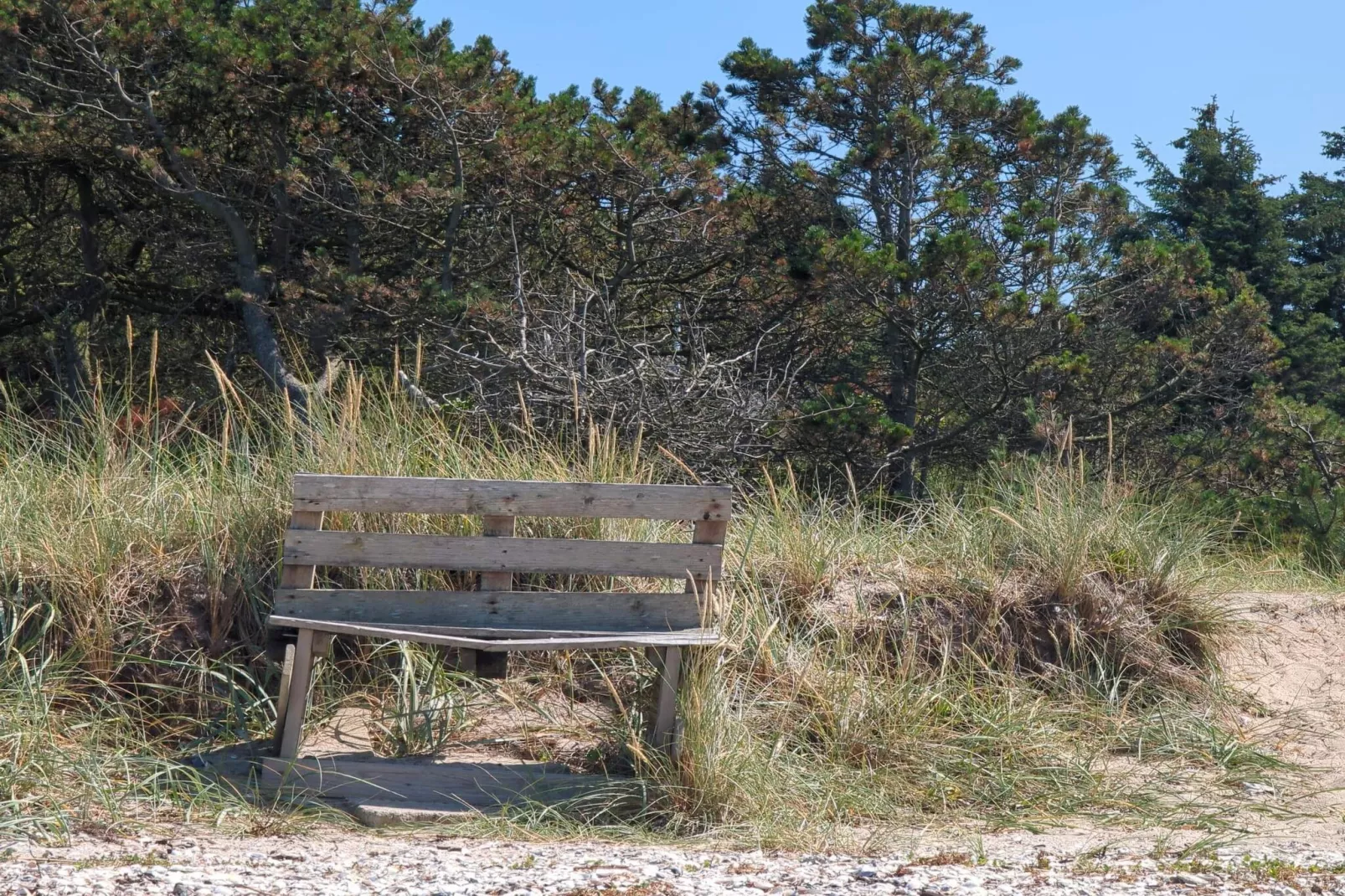 6 persoons vakantie huis in Løgstør-By Traum-Niet-getagd