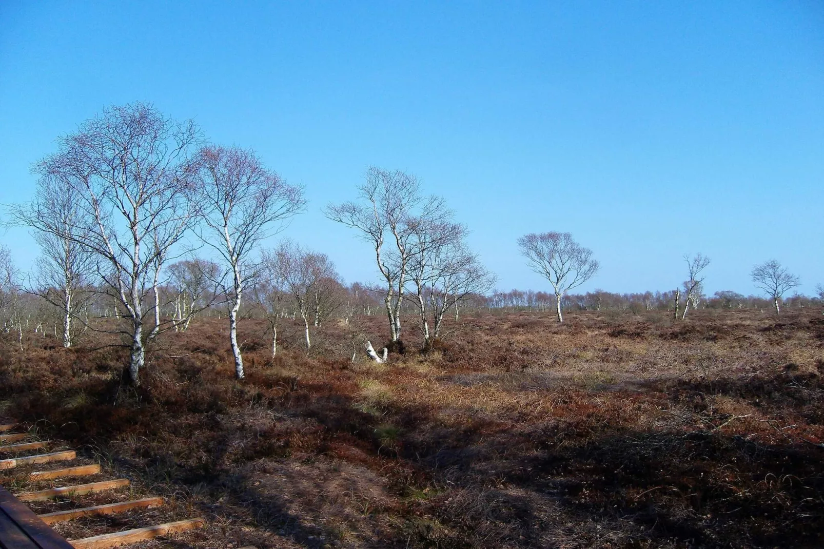 6 persoons vakantie huis in Storvorde-By Traum-Niet-getagd