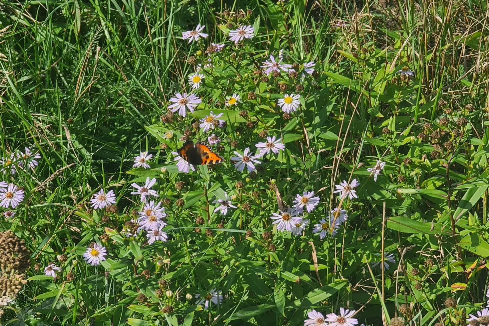Rustig toevluchtsoord in Toftum -- By Traum Ferienwohnungen-Niet-getagd