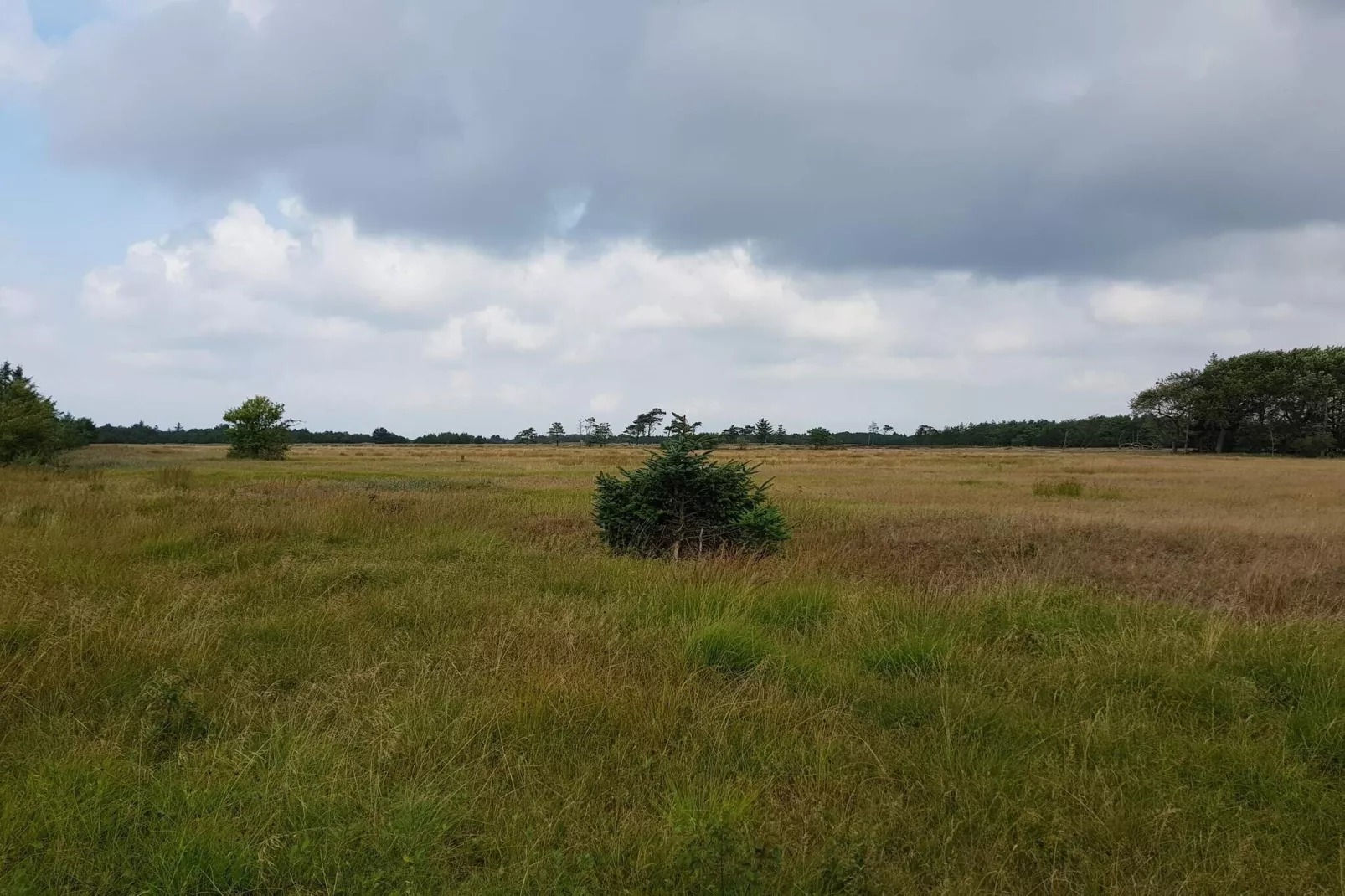 4 persoons vakantie huis in Oksbøl-By Traum