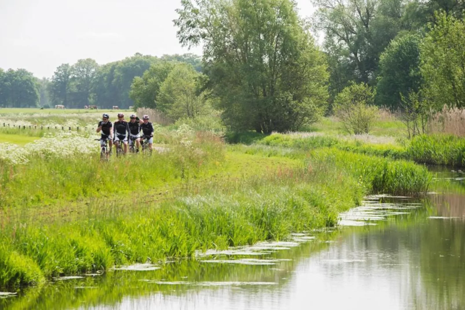 Vakantiepark De Lochemse Berg 2-Gebieden zomer 20km