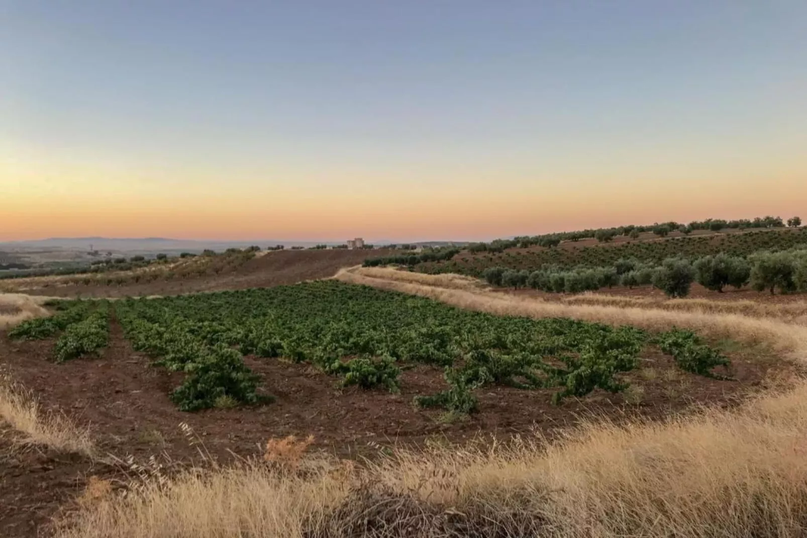 Villapark Ehzerburg 1-Gebieden zomer 20km