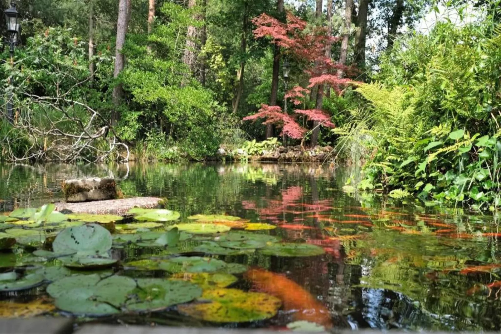 Bospark Markelo 5-Gebieden zomer 20km