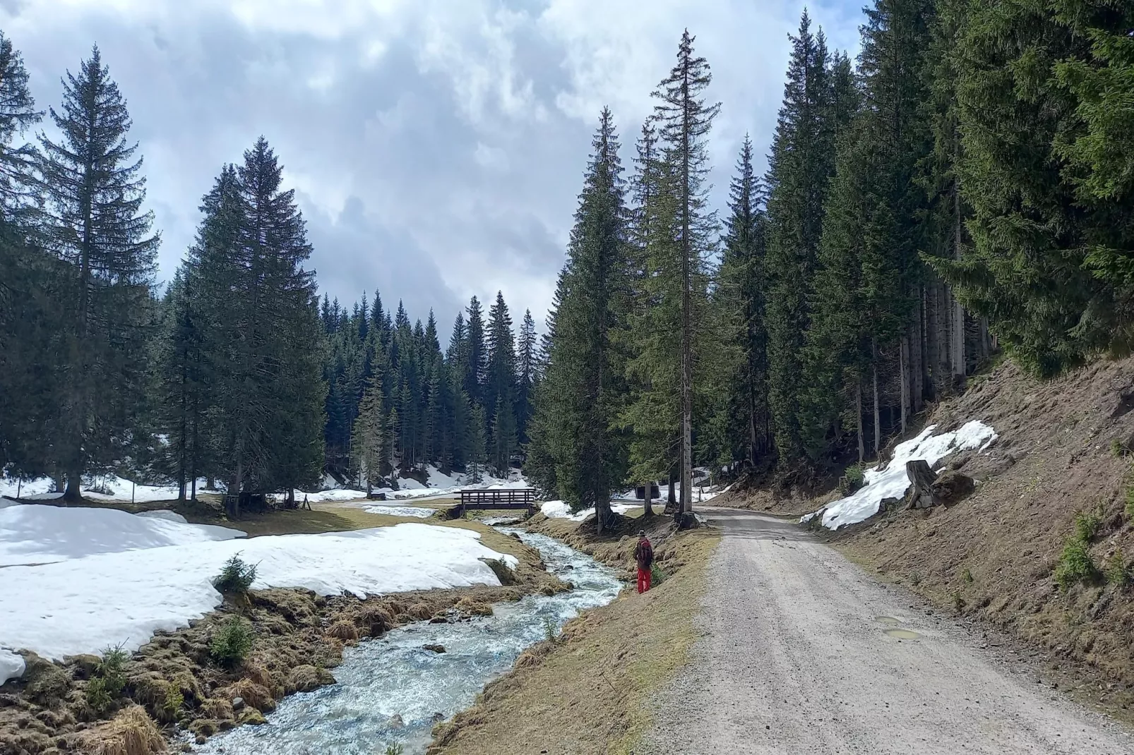Filzmoos Appartements-Gebieden zomer 1km