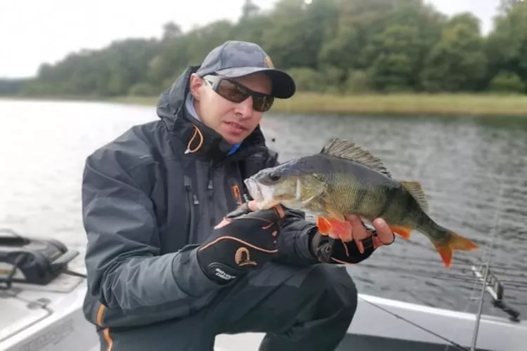 Dom wakacyjny nad jeziorem Nadole-Gebieden zomer 1km