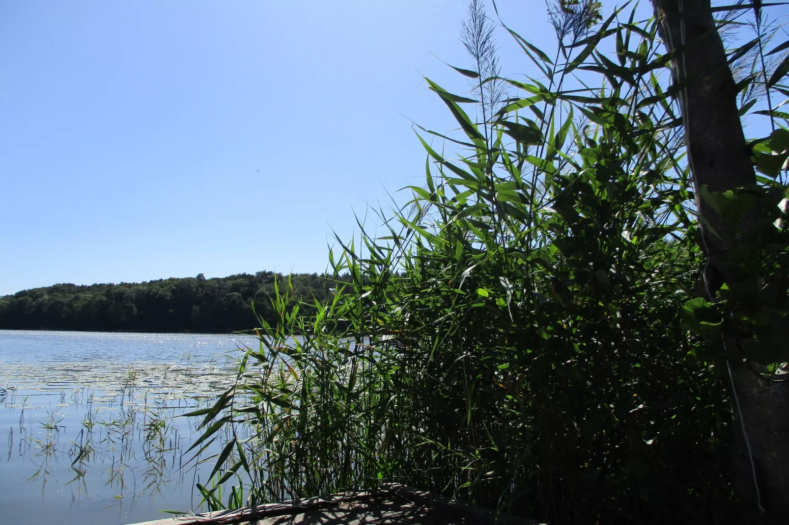 Holiday flat in Kolczewo70 qm for 6 persons-Gebieden zomer 1km