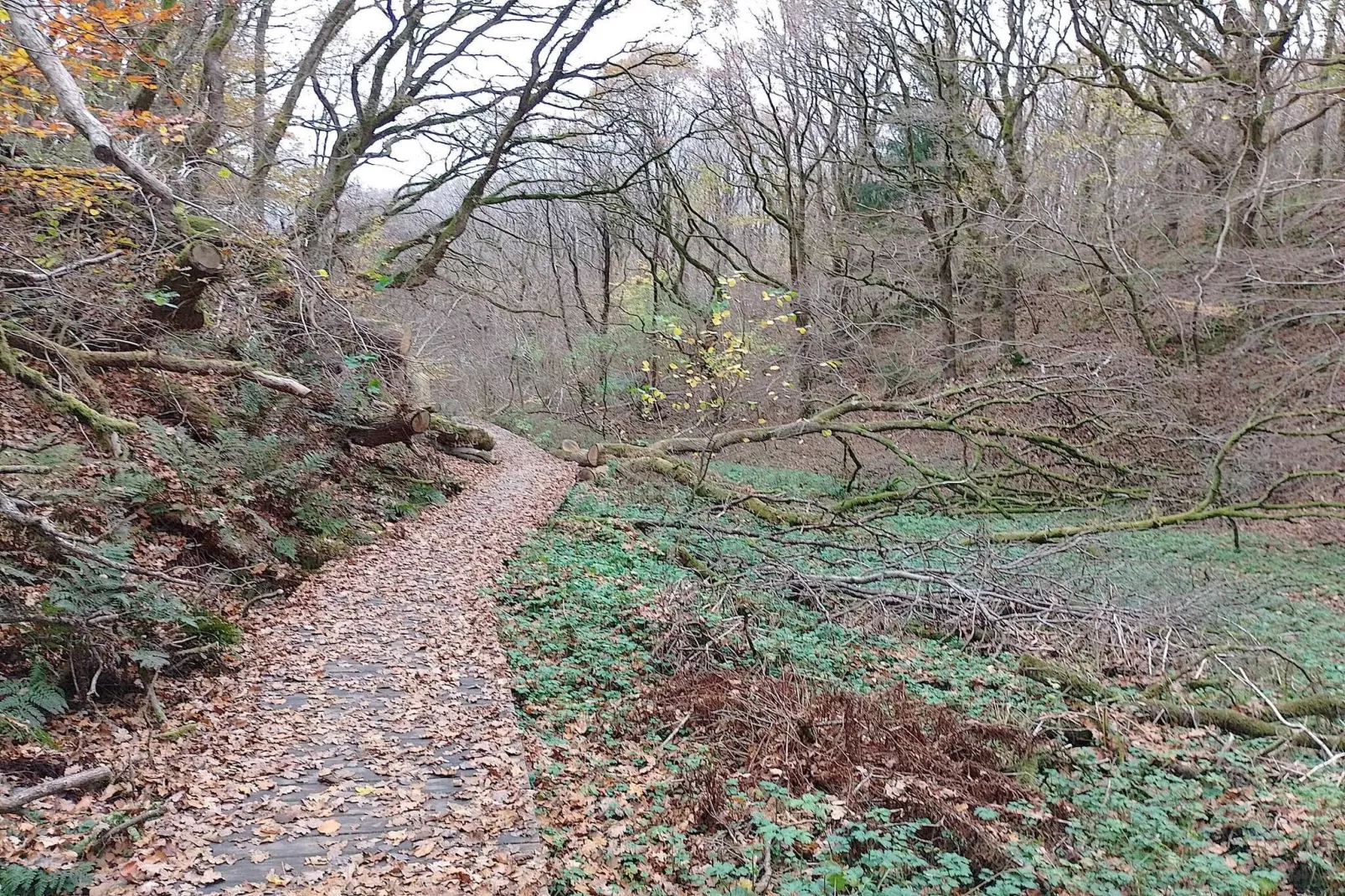 6 persoons vakantie huis in Glesborg-Niet-getagd