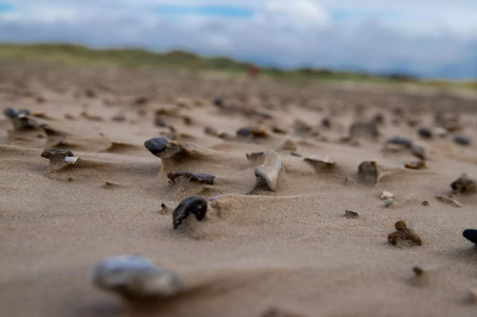 6 persoons vakantie huis in Saltum-By Traum-Niet-getagd