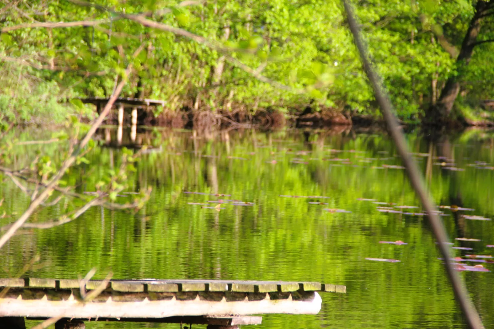 Holiday accomodations Kolczewo Nr 5-Gebieden zomer 1km