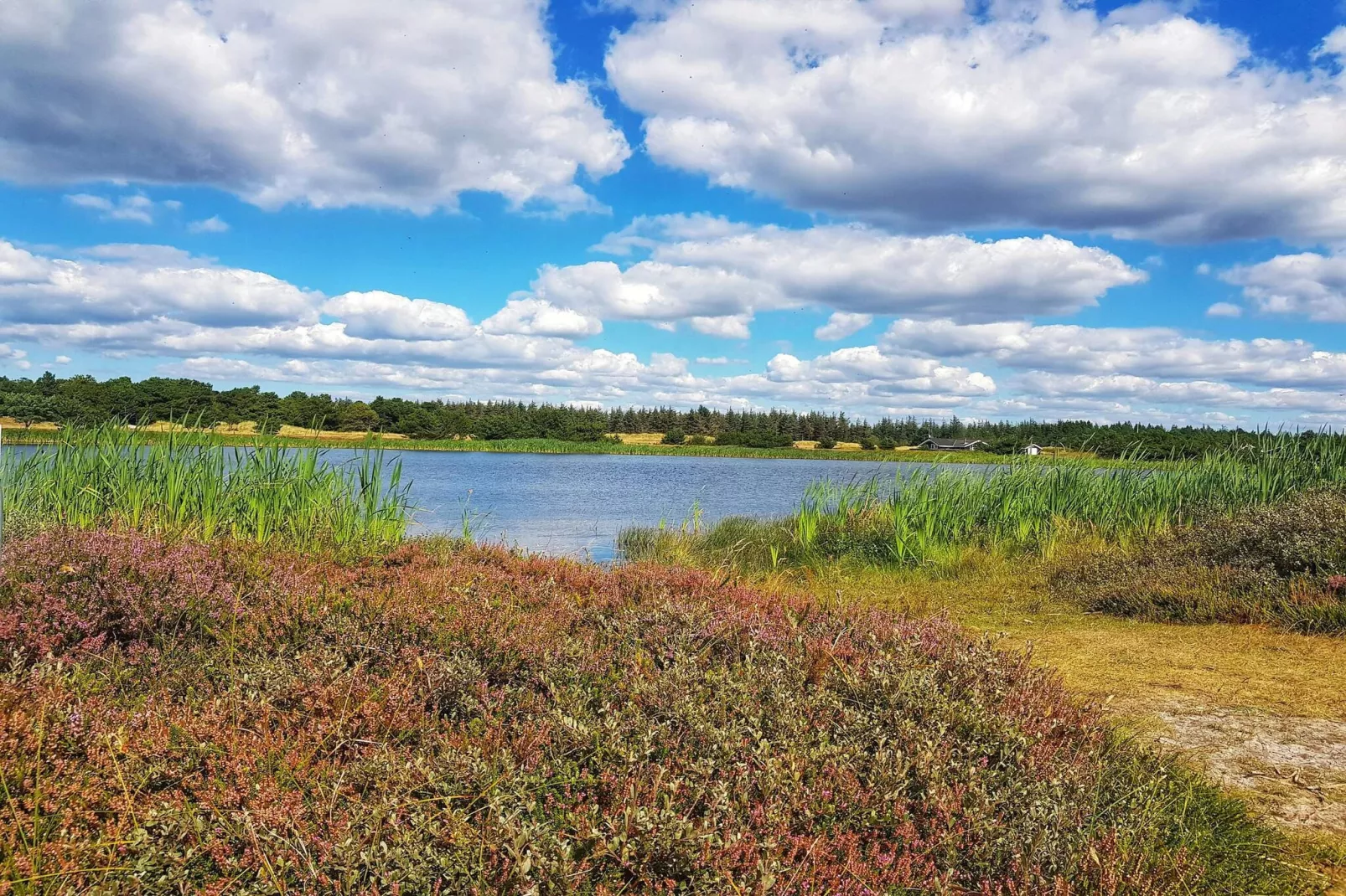 10 persoons vakantie huis in Oksbøl-By Traum