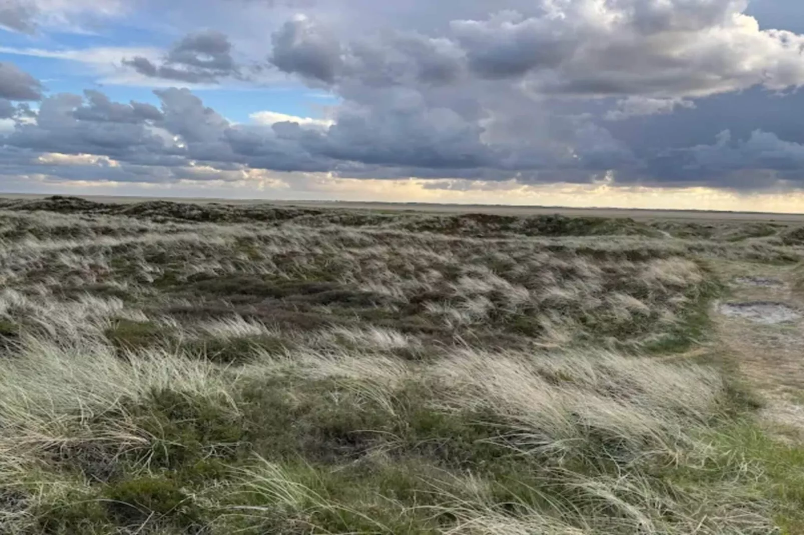 Luxe Spa Retreat in Romo -- By Traum Ferienwohnungen-Niet-getagd