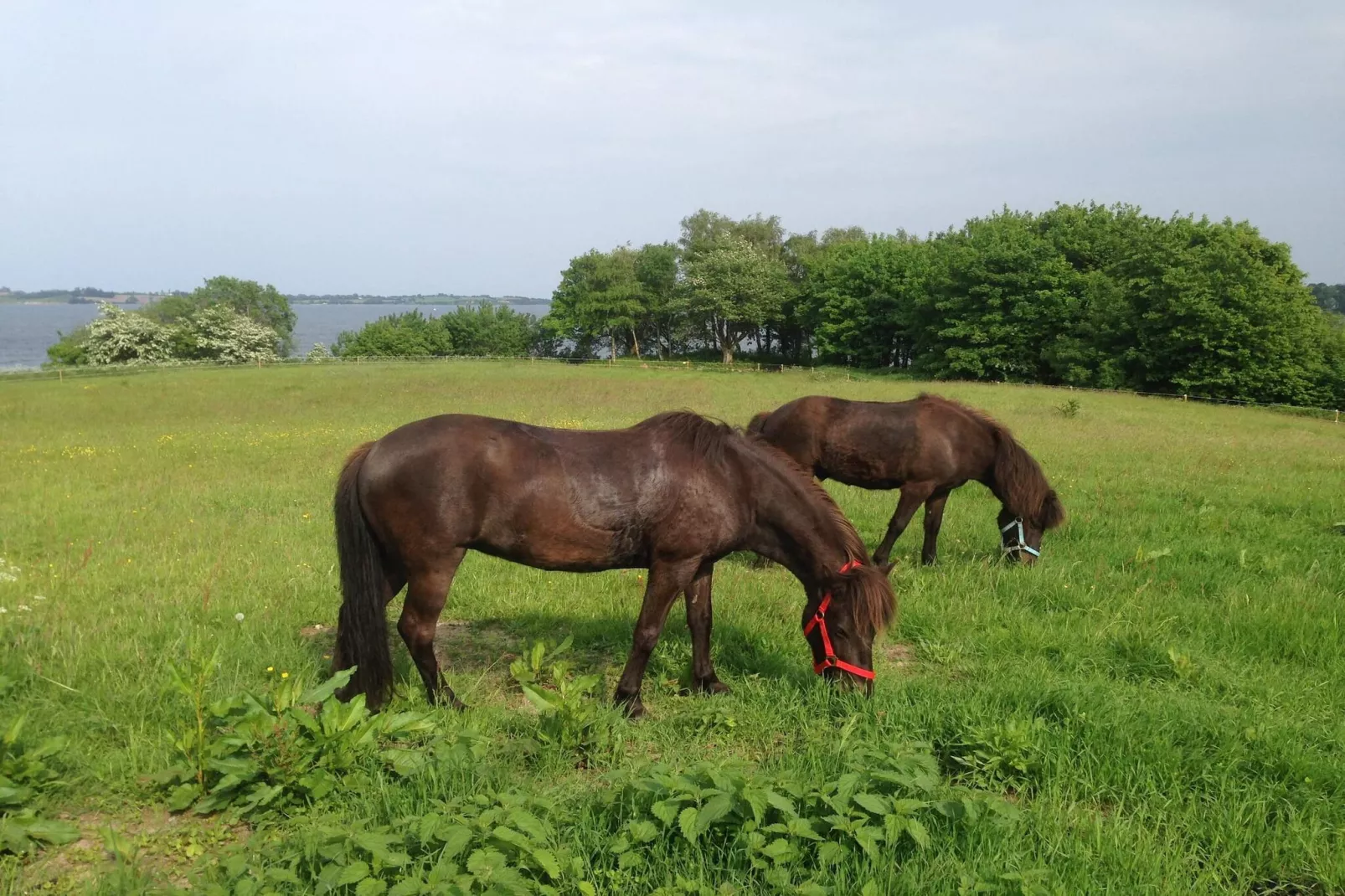 6 persoons vakantie huis in Aabenraa-By Traum