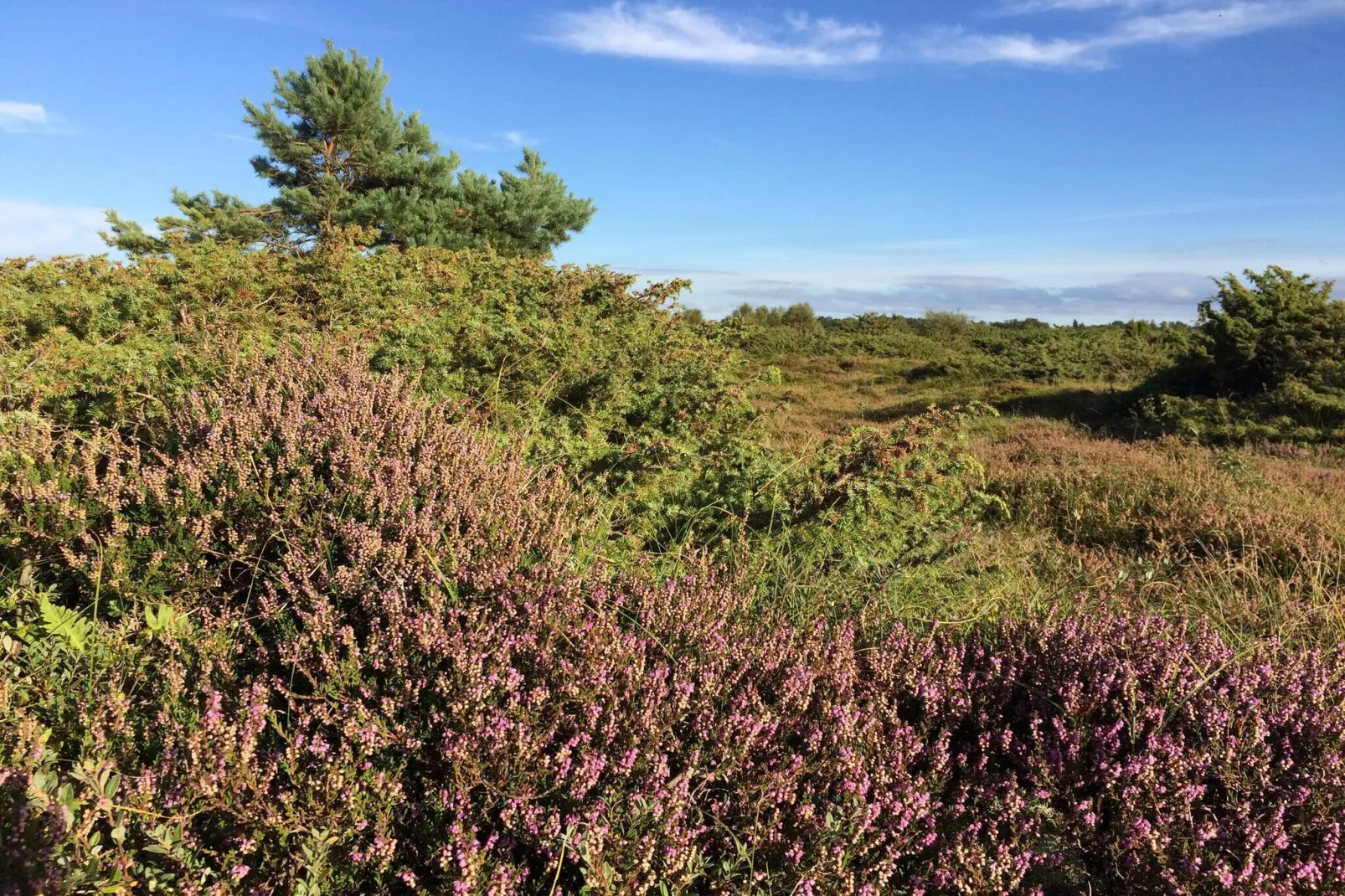 5 persoons vakantie huis in Føllenslev-By Traum-Niet-getagd