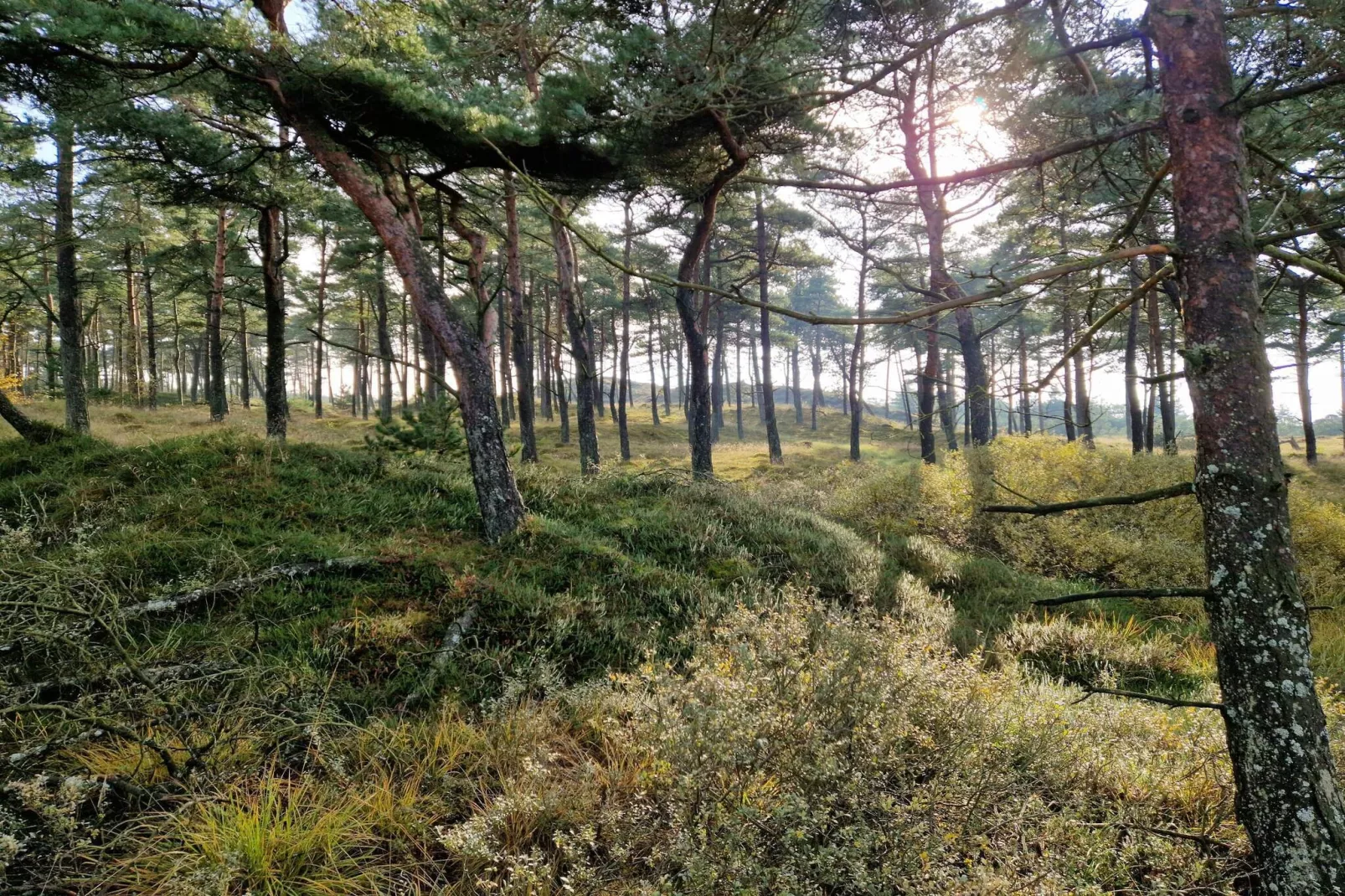 Luxe retraite met zwembad -- By Traum Ferienwohnungen-Buitenlucht