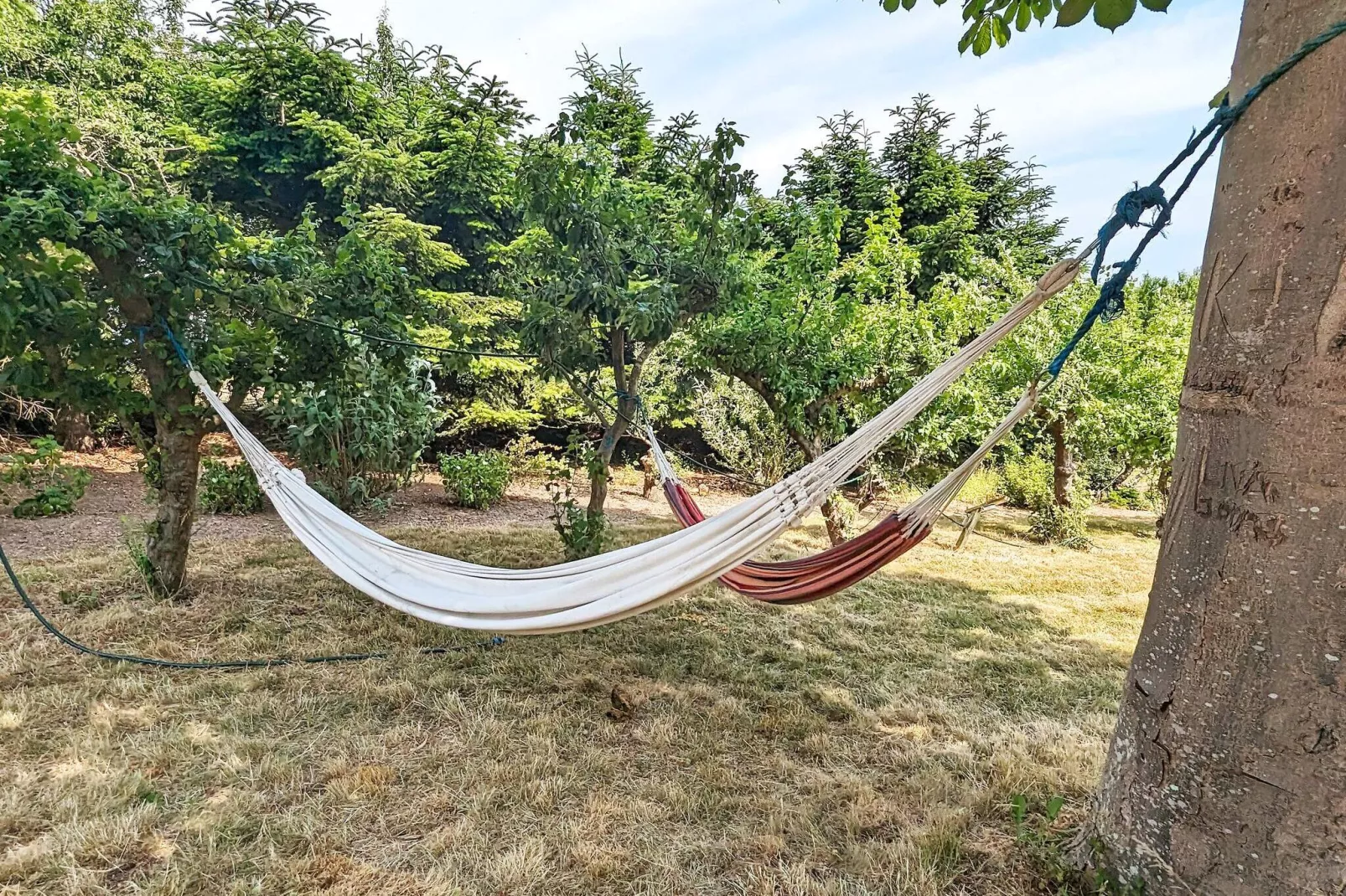 6 persoons vakantie huis in Søby Ærø-By Traum-Buitenlucht