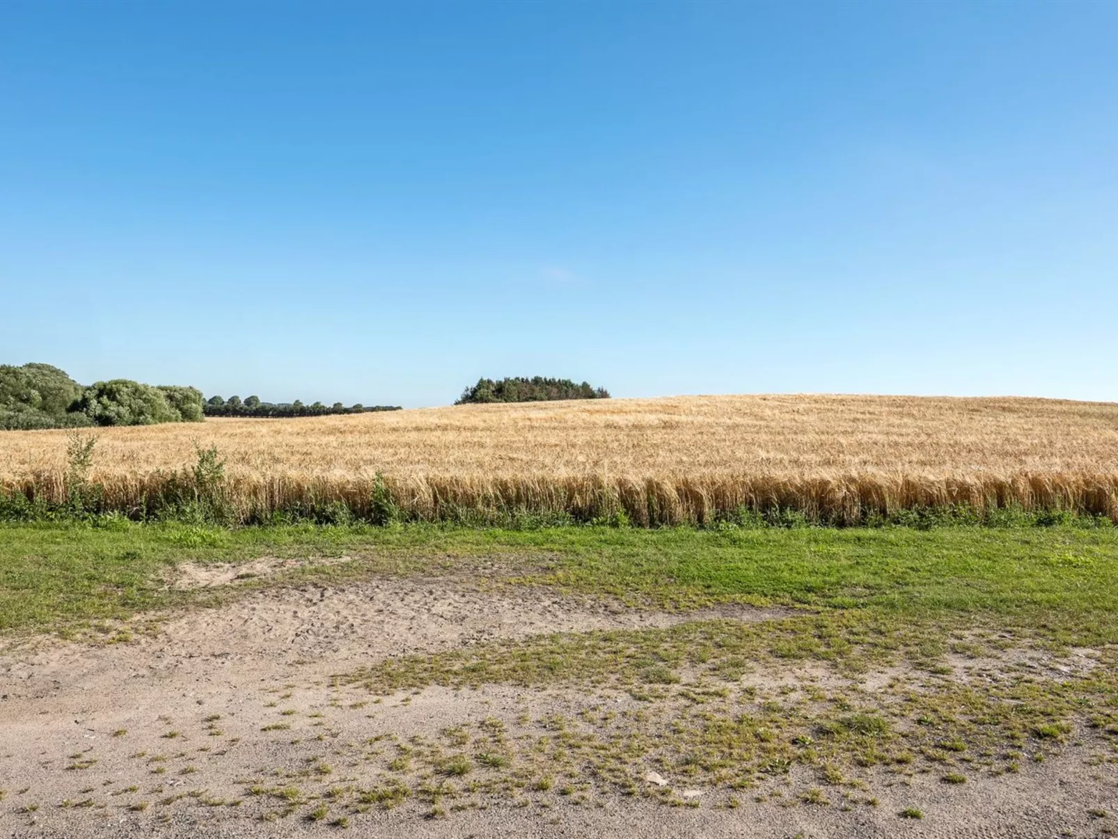 "Haralde" - 2.5km from the sea