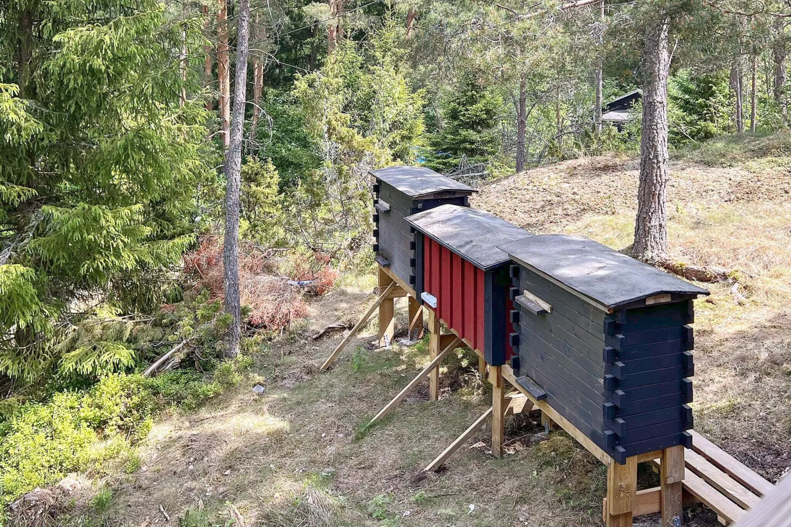 8 persoons vakantie huis in GRÖDINGE-Buitenlucht