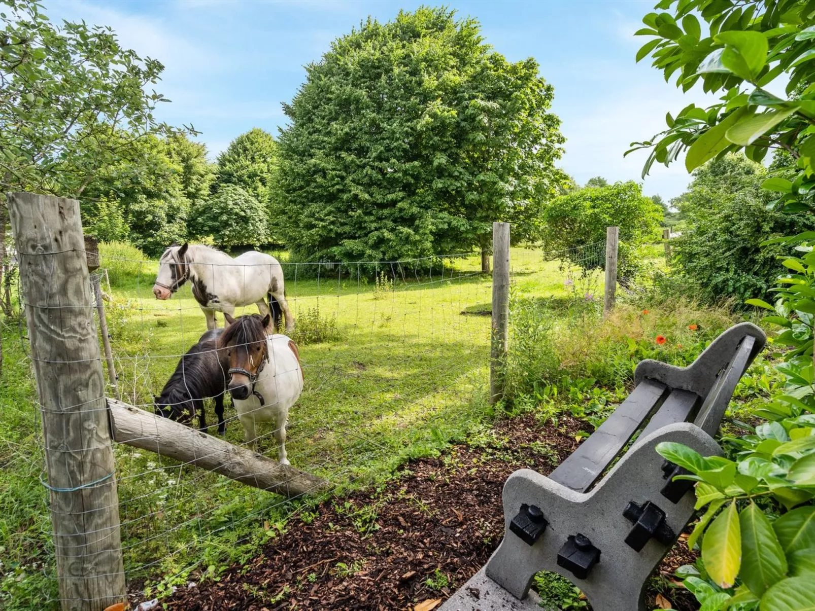 "Maileen" - 2.1km to the fjord