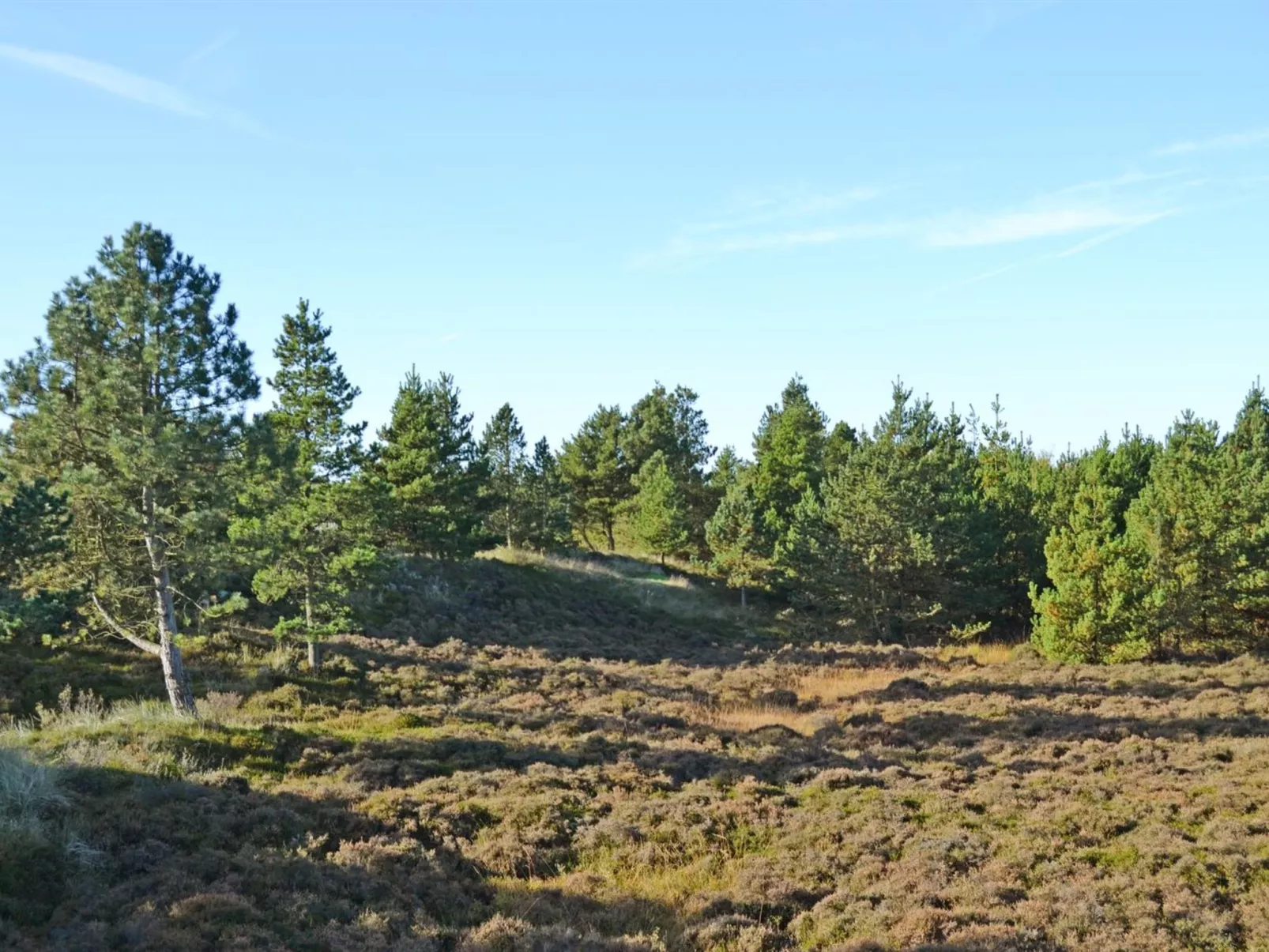 "Mariette" - 3.1km from the sea