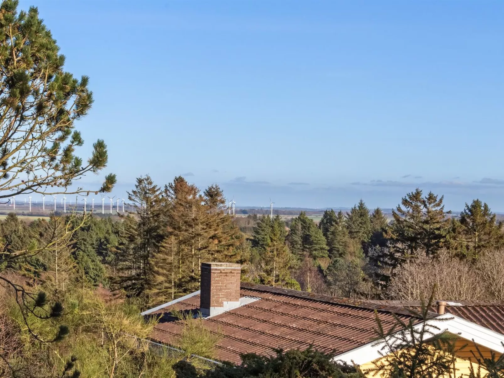 "Jaakob" - 4km from the sea