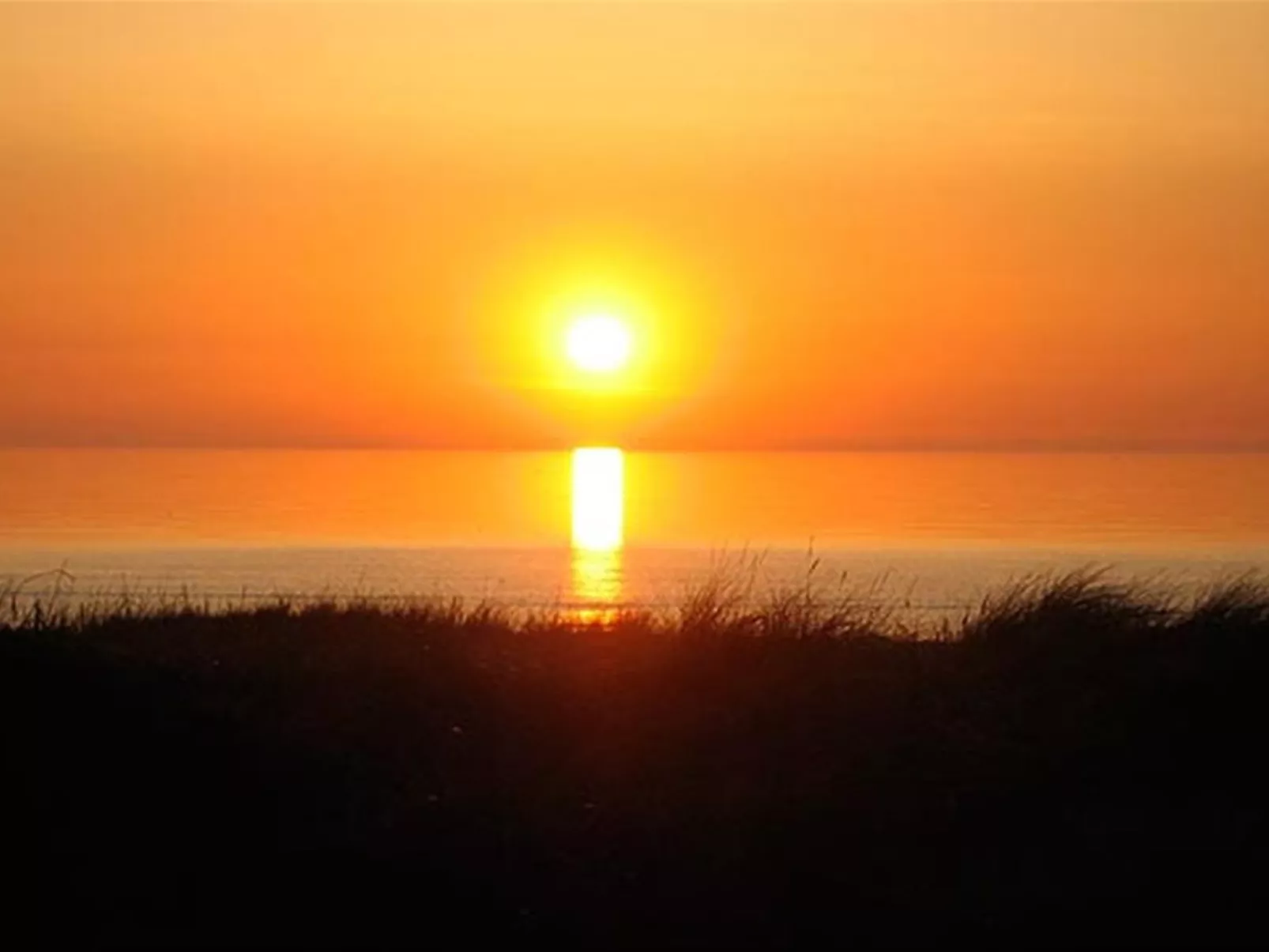 "Tinea" - 50m from the sea