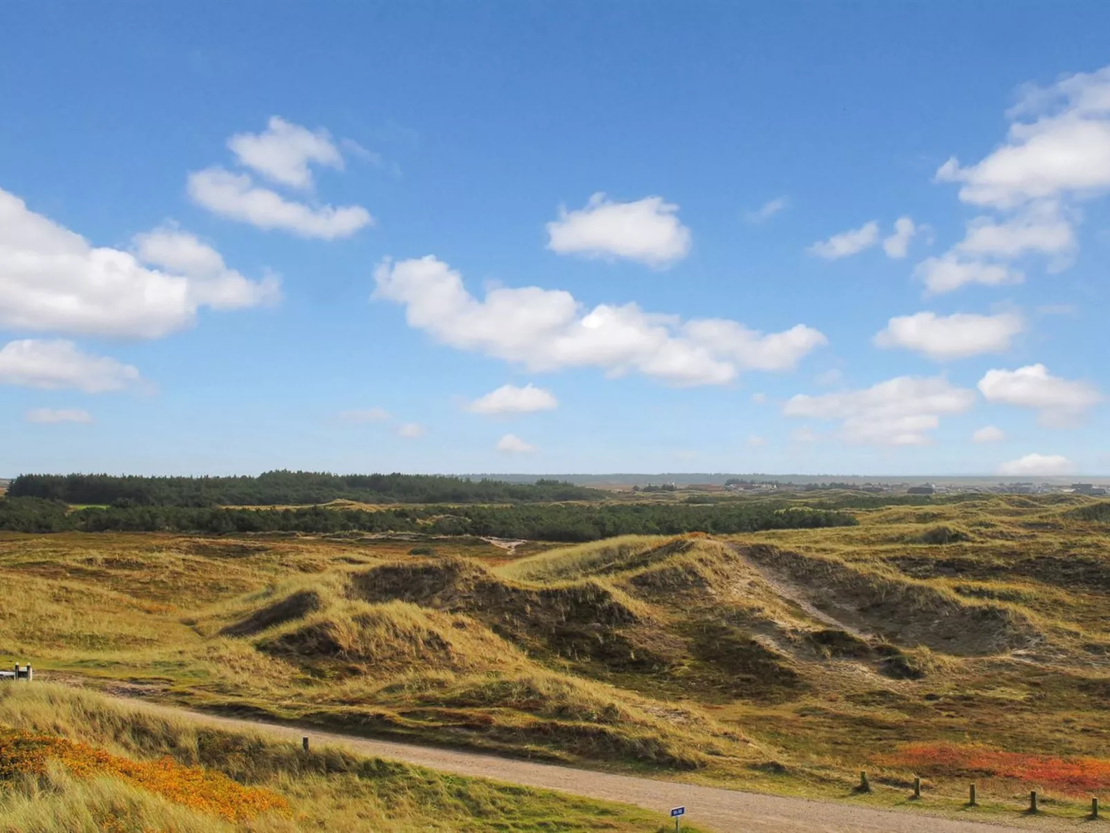 "Katha" -  from the sea